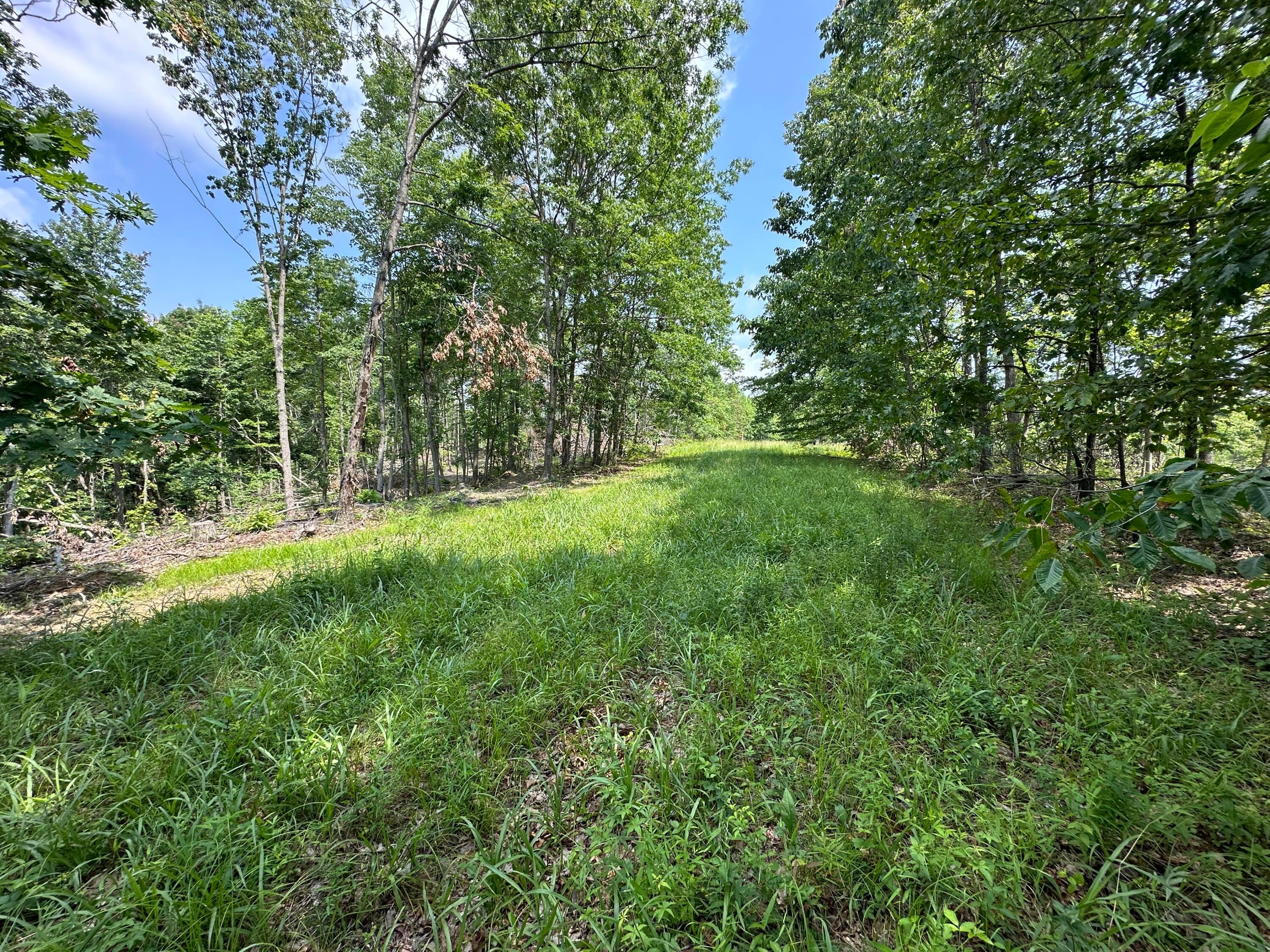 0 Lick Run Lyra Road Property Photo 4
