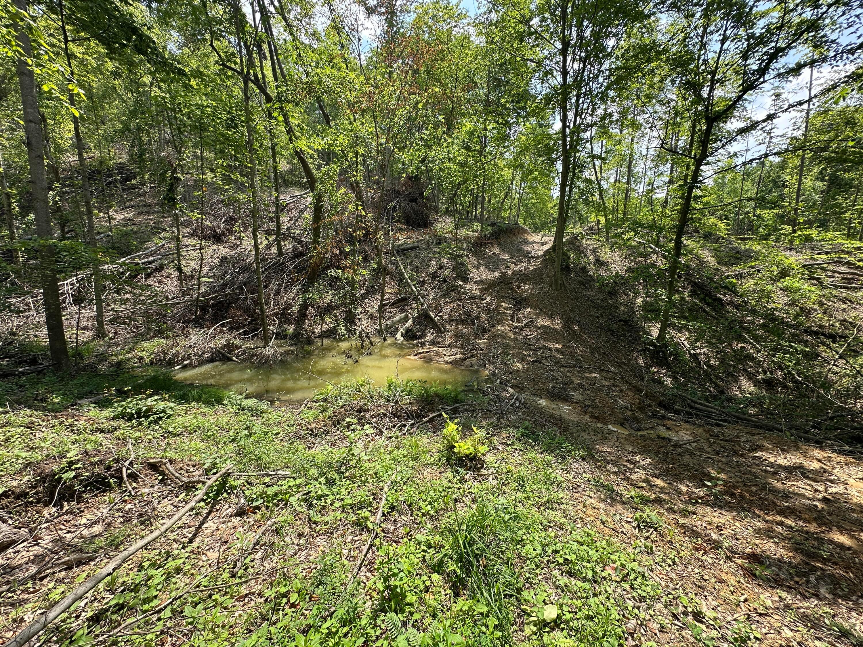 0 Lick Run Lyra Road Property Photo 15