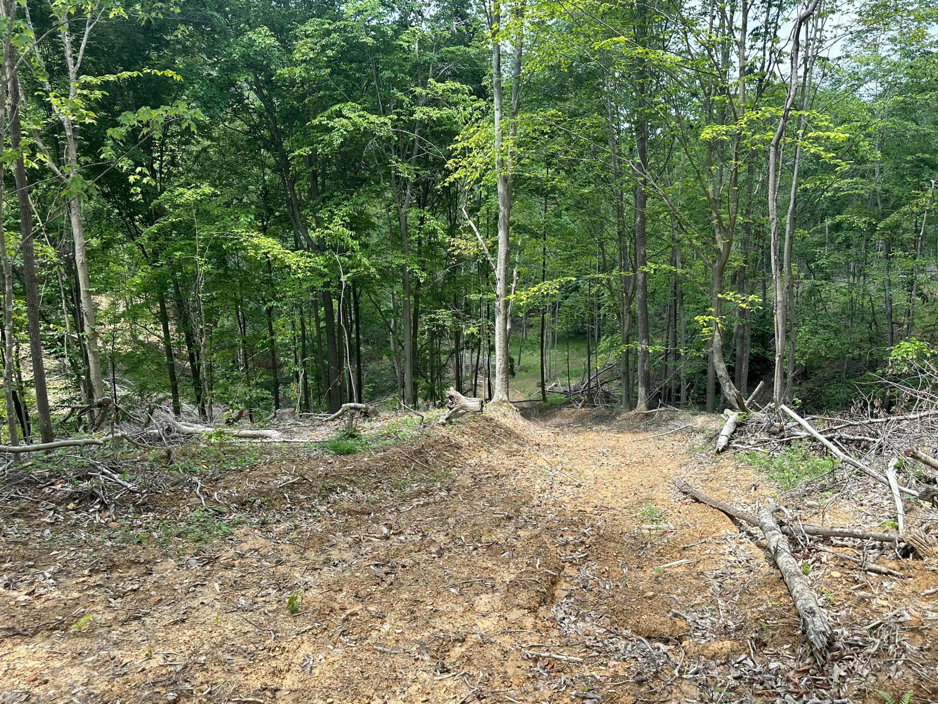 0 Lick Run Lyra Road Property Photo 16