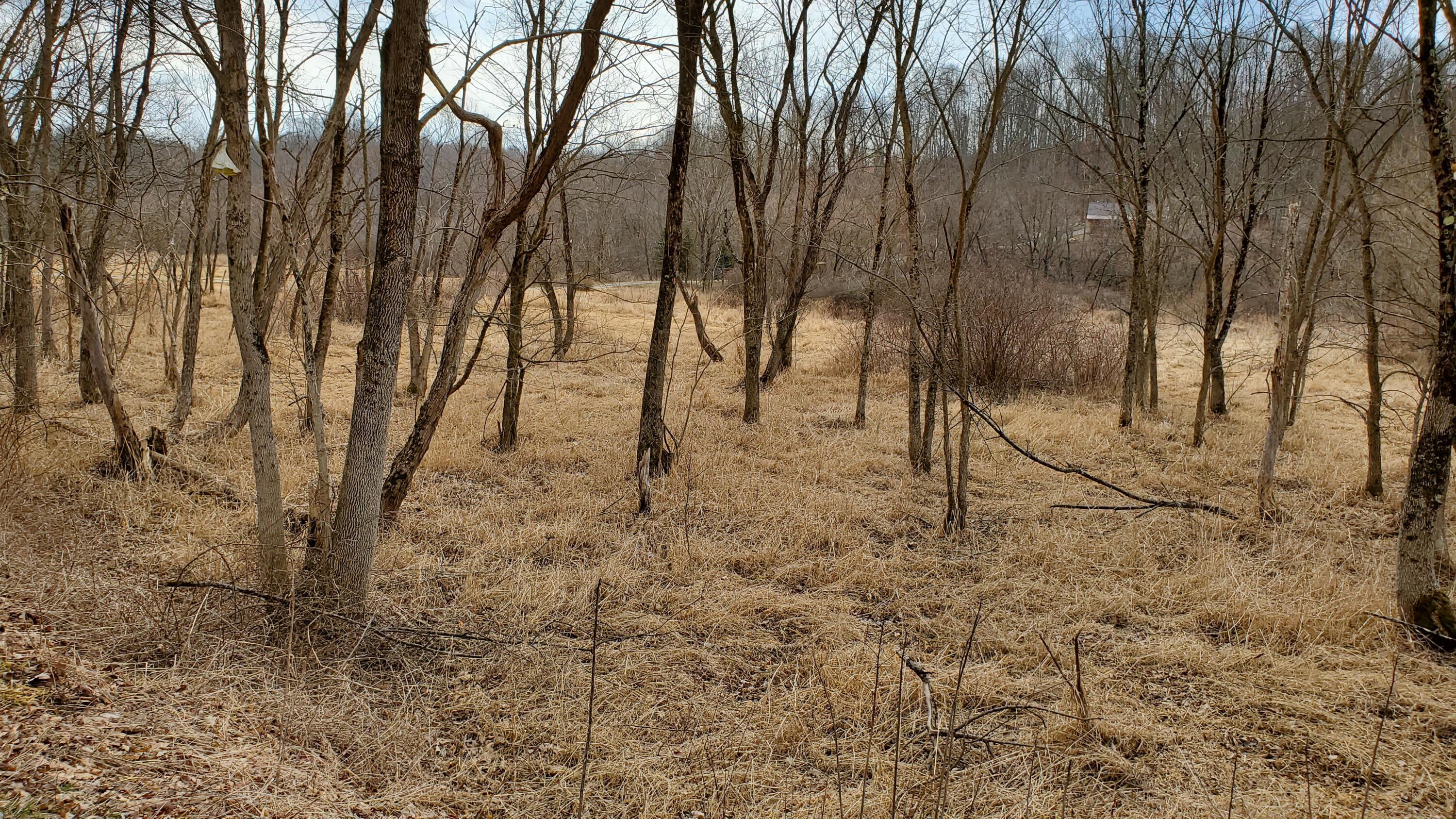 6820 Crane Run Road Property Photo 3