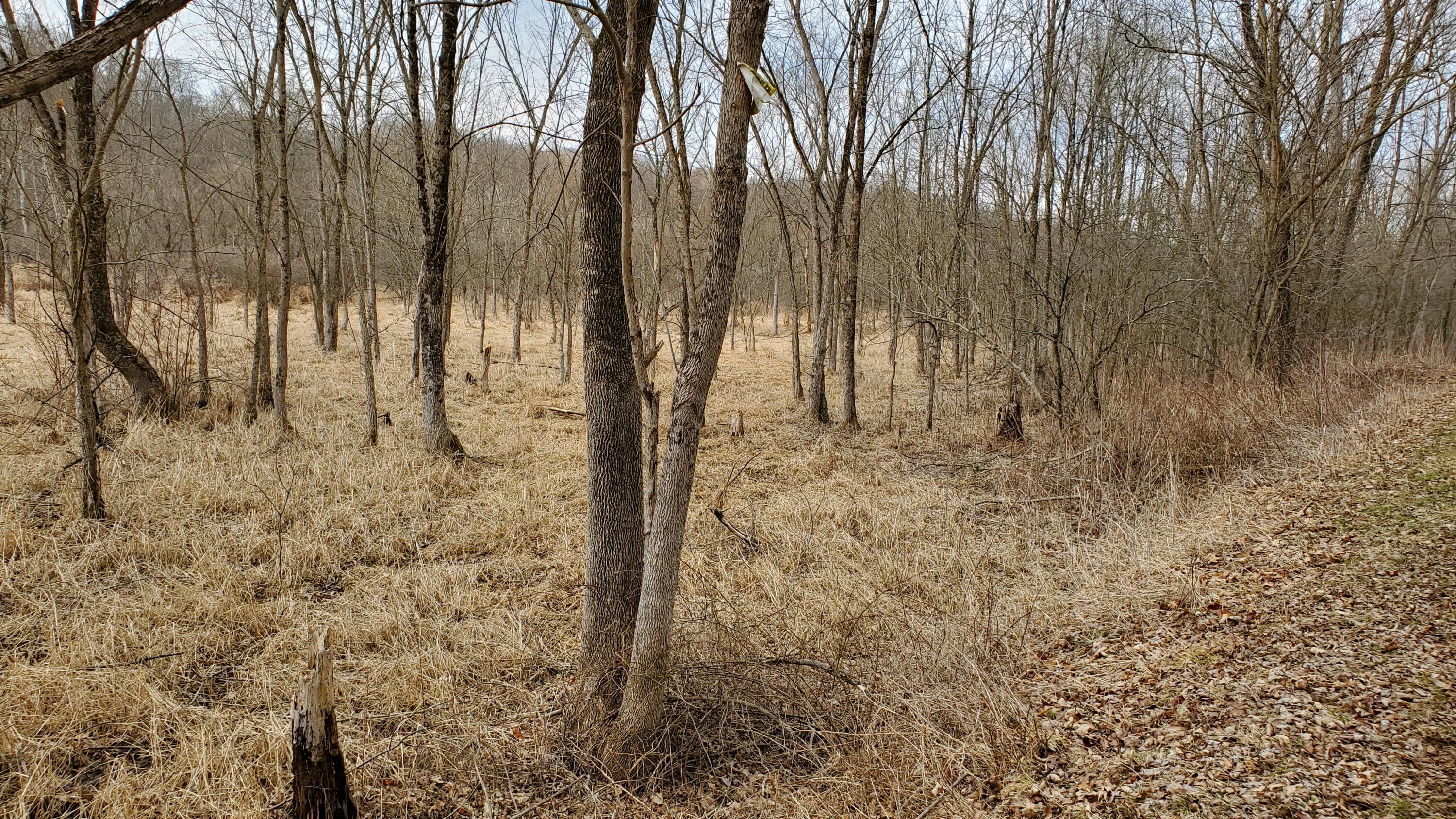 6820 Crane Run Road Property Photo 4