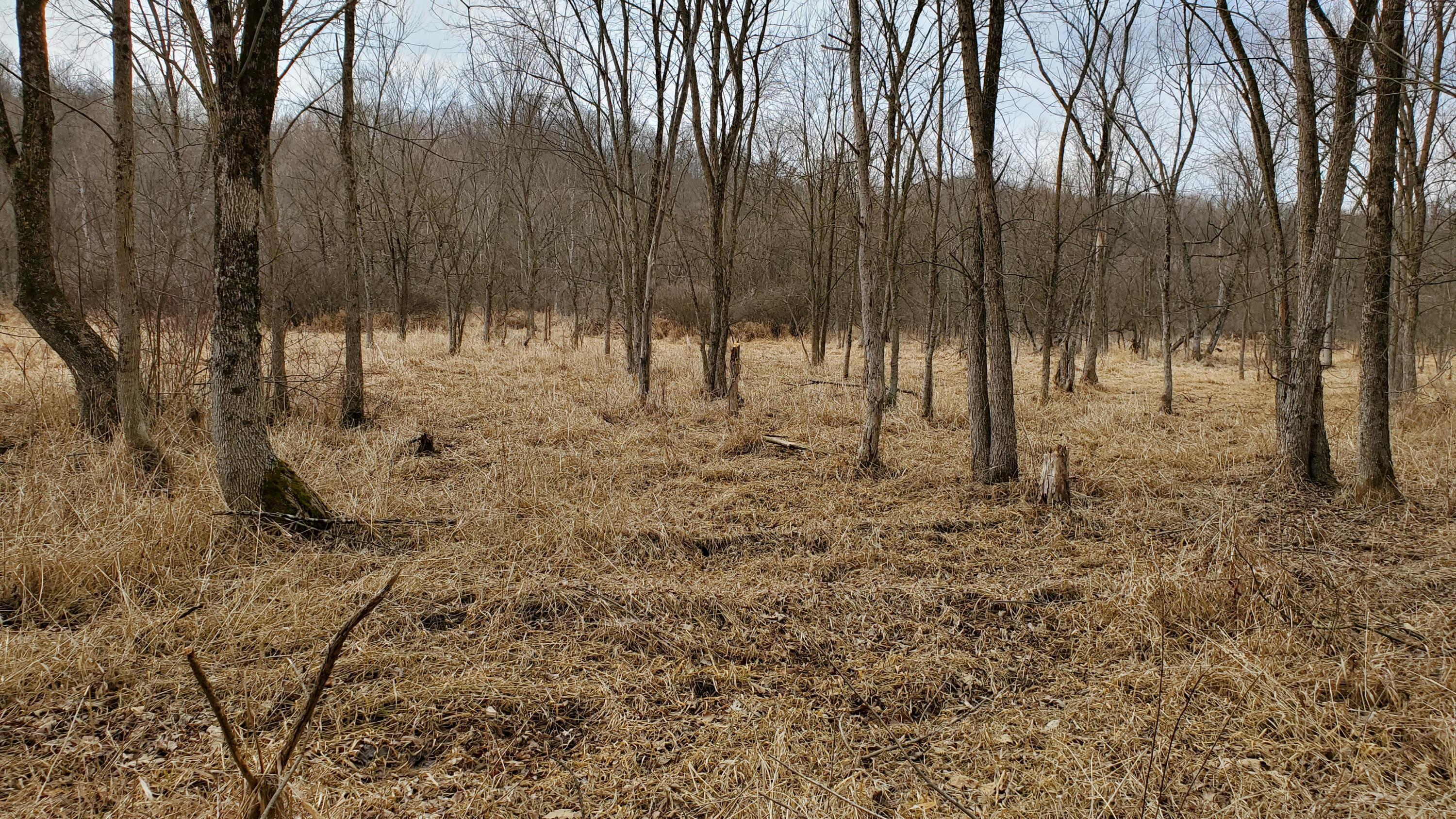 6820 Crane Run Road Property Photo 5