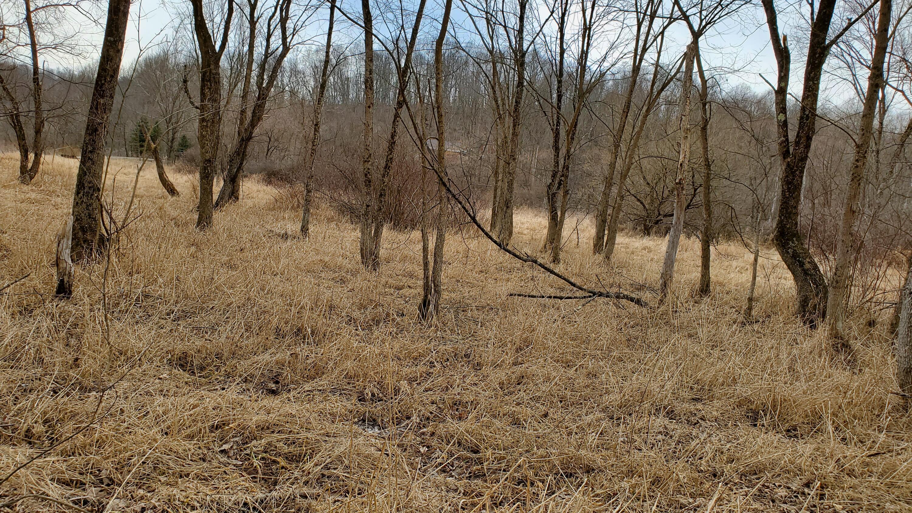 6820 Crane Run Road Property Photo 6