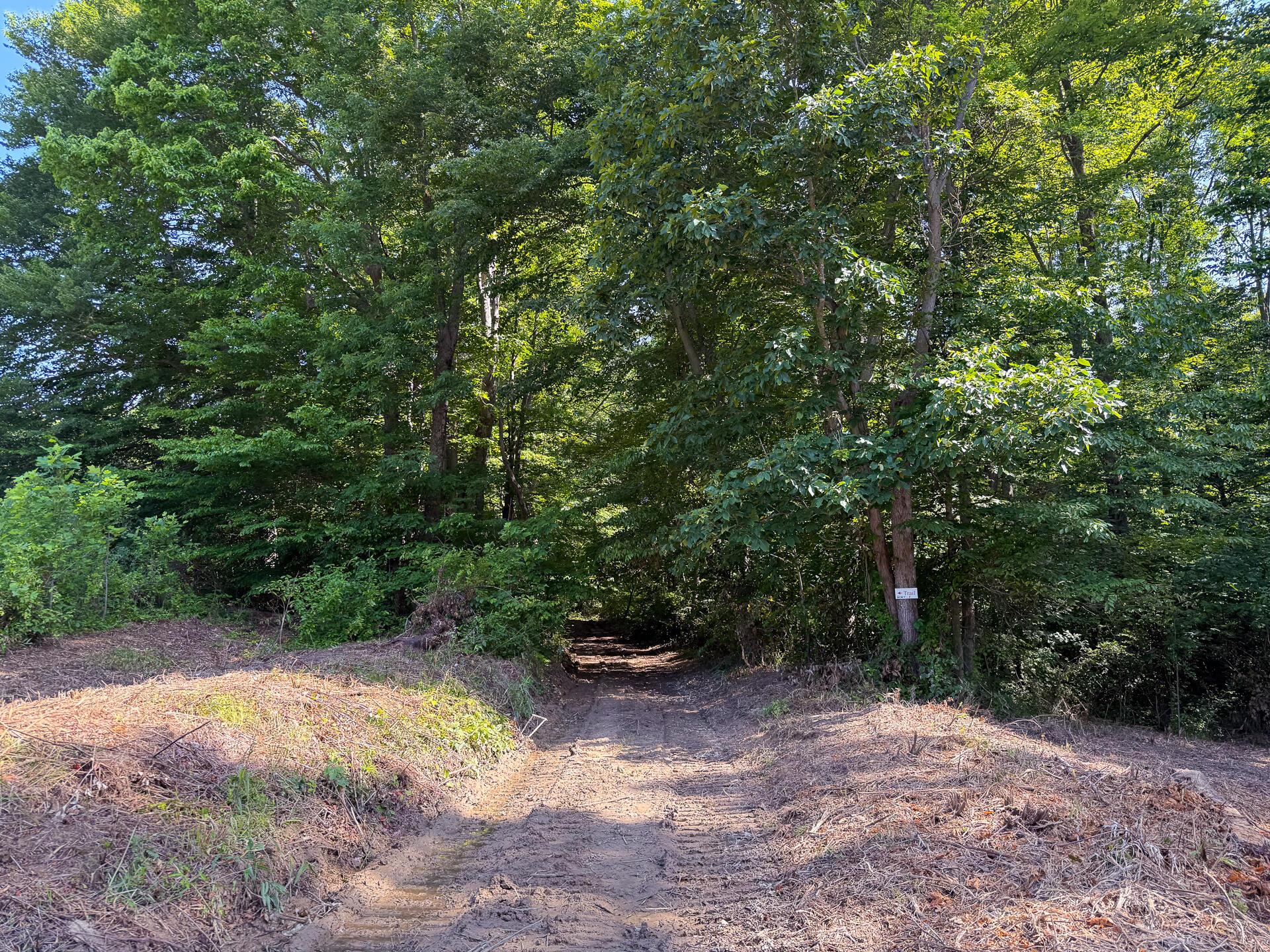0 Wolf Hill Road, (tract 1 Wolf Hill) Property Photo 11