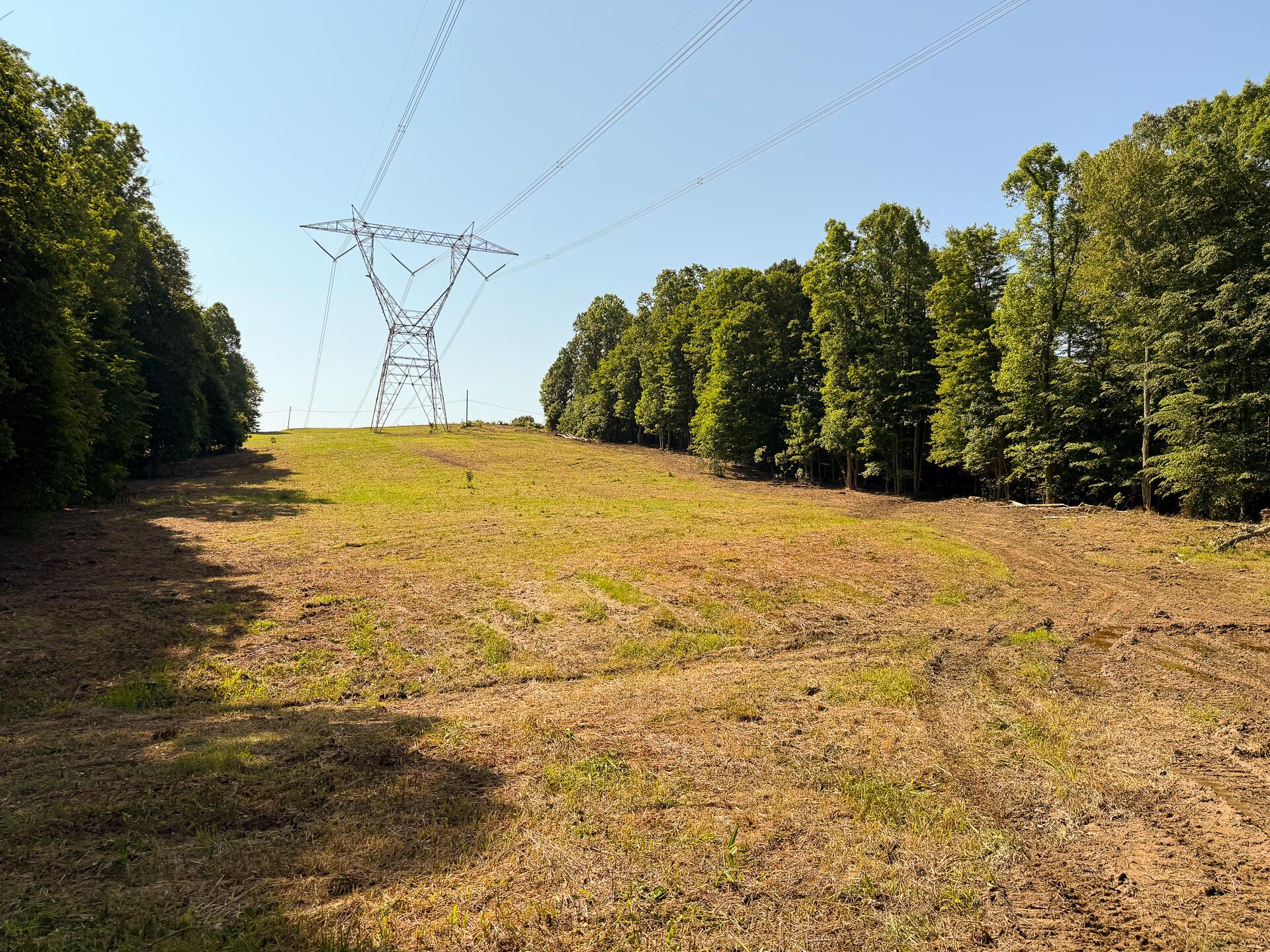 0 Wolf Hill Road, (tract 1 Wolf Hill) Property Photo 13