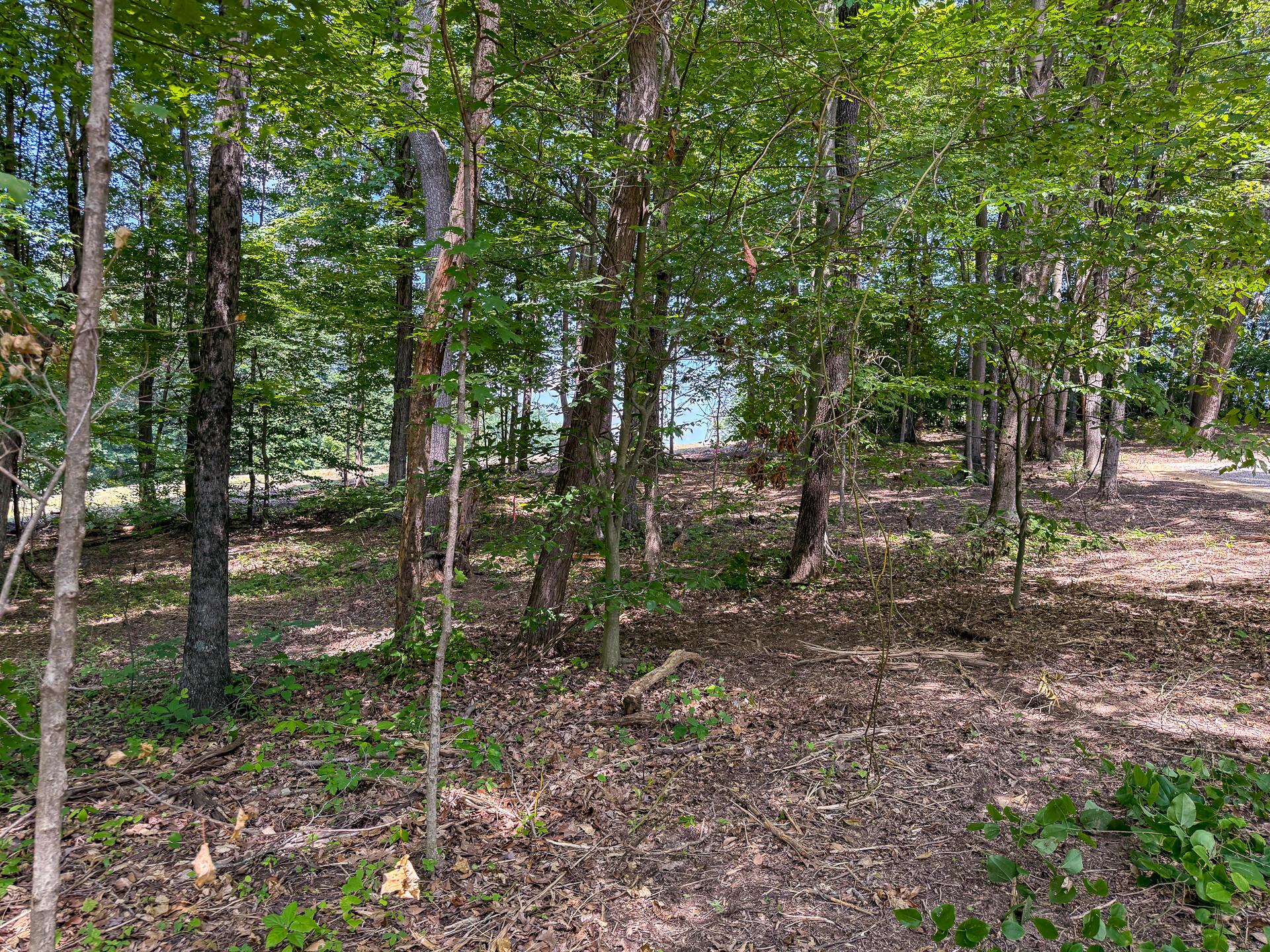 0 Wolf Hill Road, (tract 1 Wolf Hill) Property Photo 61