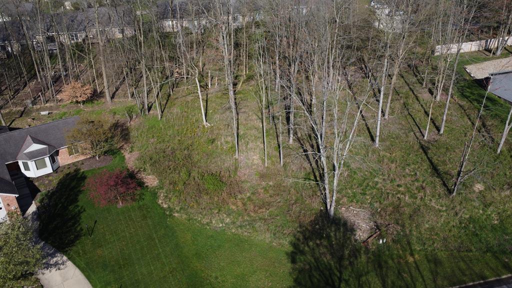 0 Rippling Brook Drive Property Photo 2