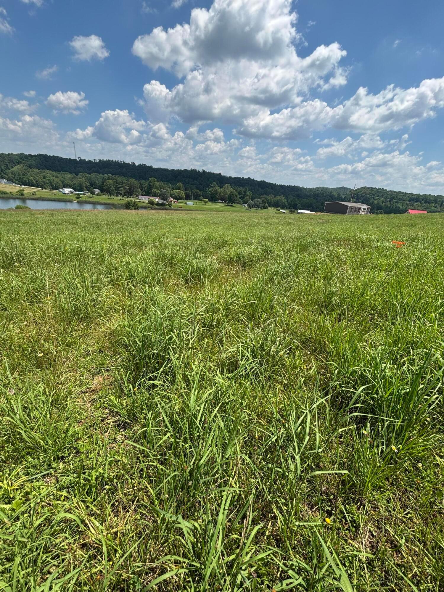 1353 State Route 13 Property Photo 5