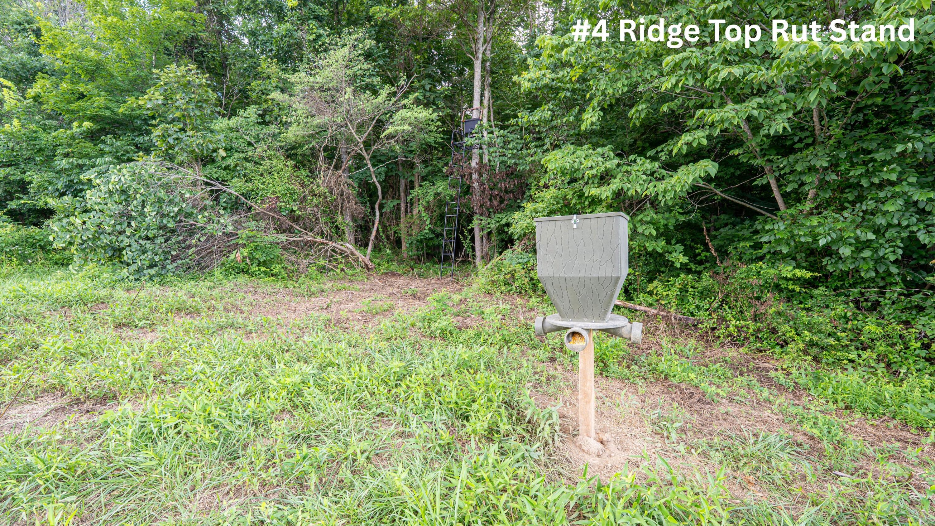62130 Locker Plant Road Property Photo 6