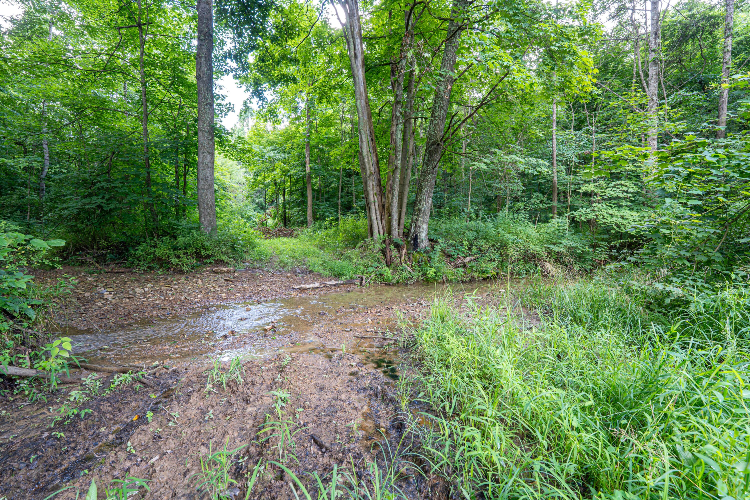 62130 Locker Plant Road Property Photo 8