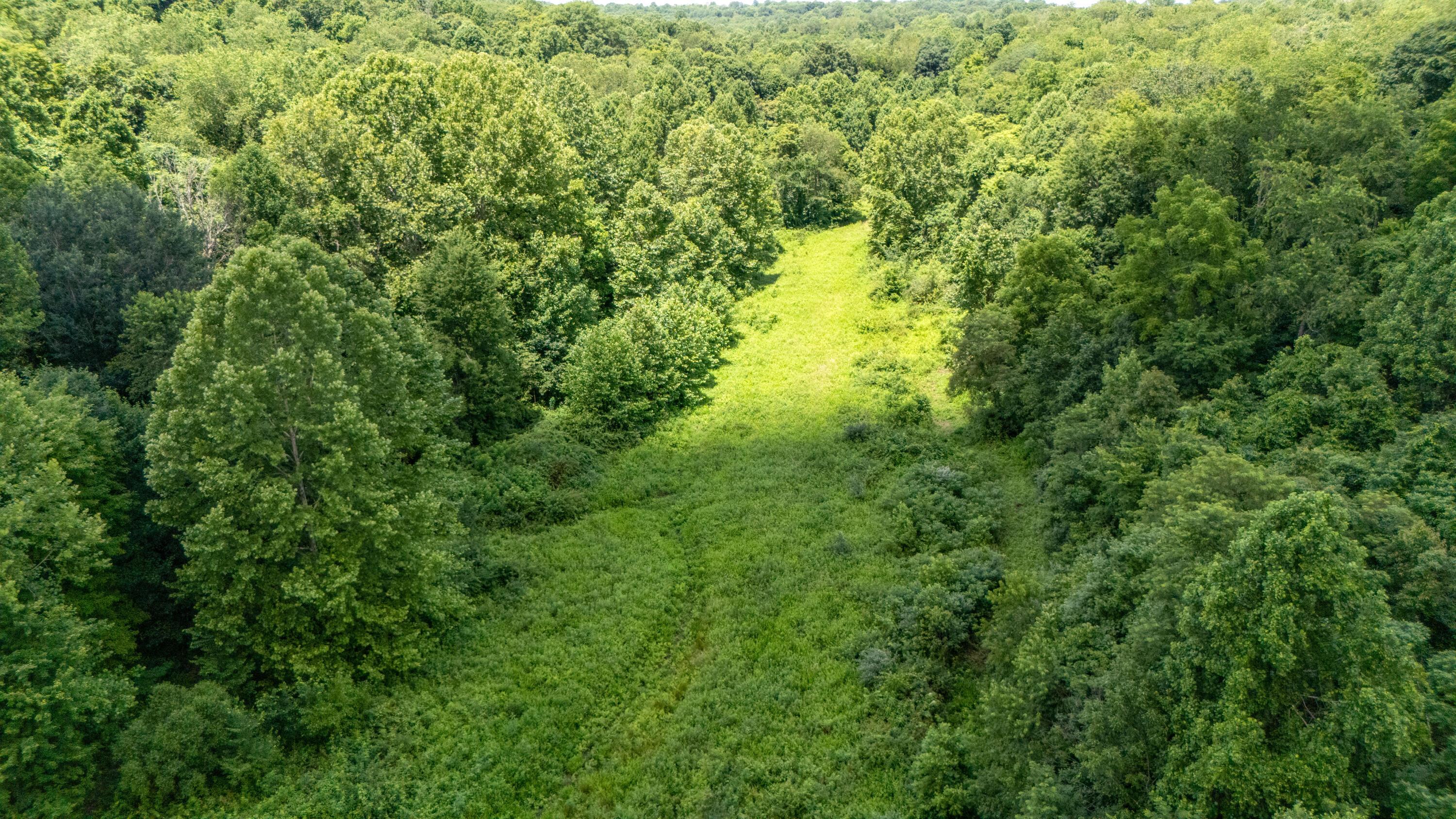 62130 Locker Plant Road Property Photo 39