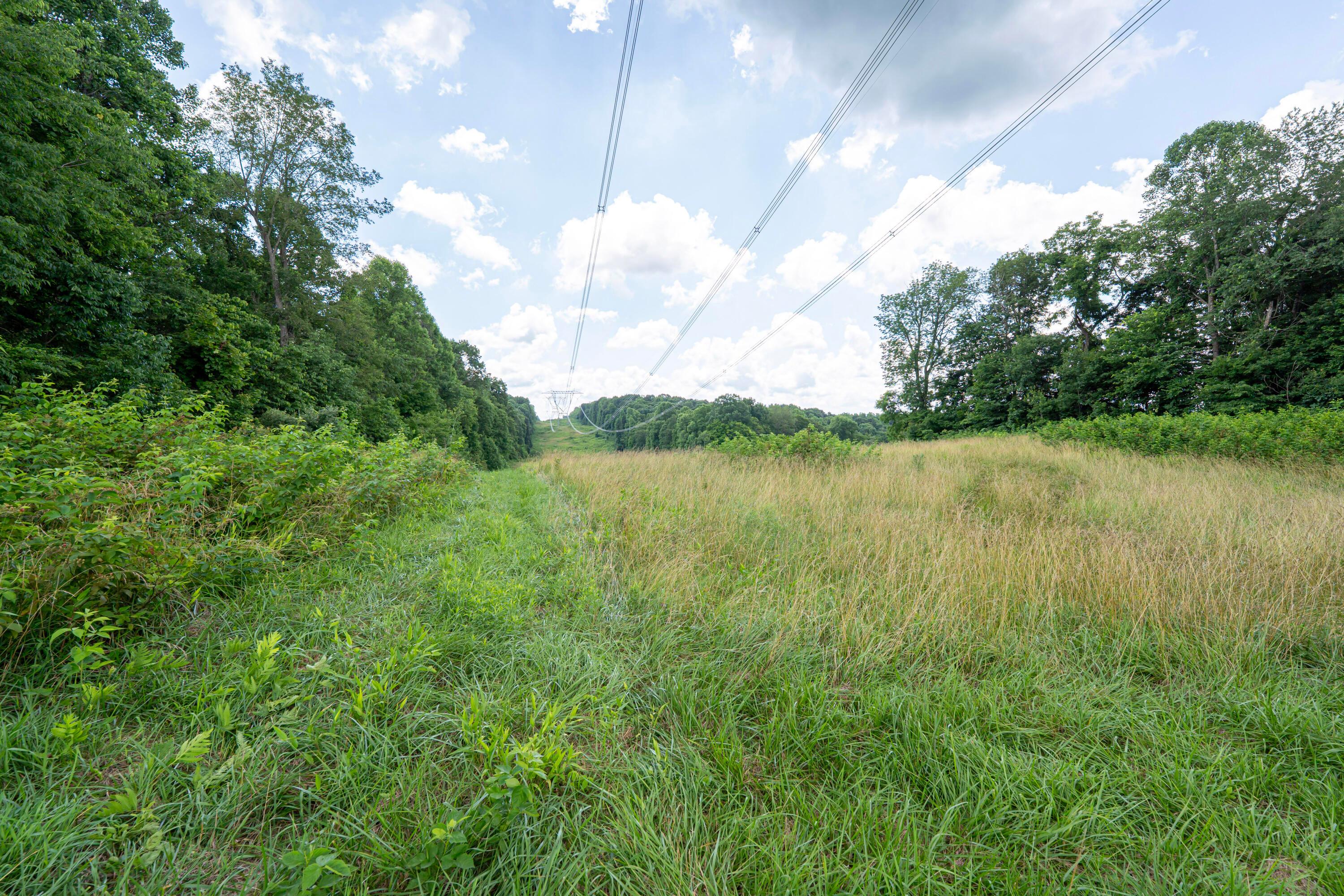62130 Locker Plant Road Property Photo 46