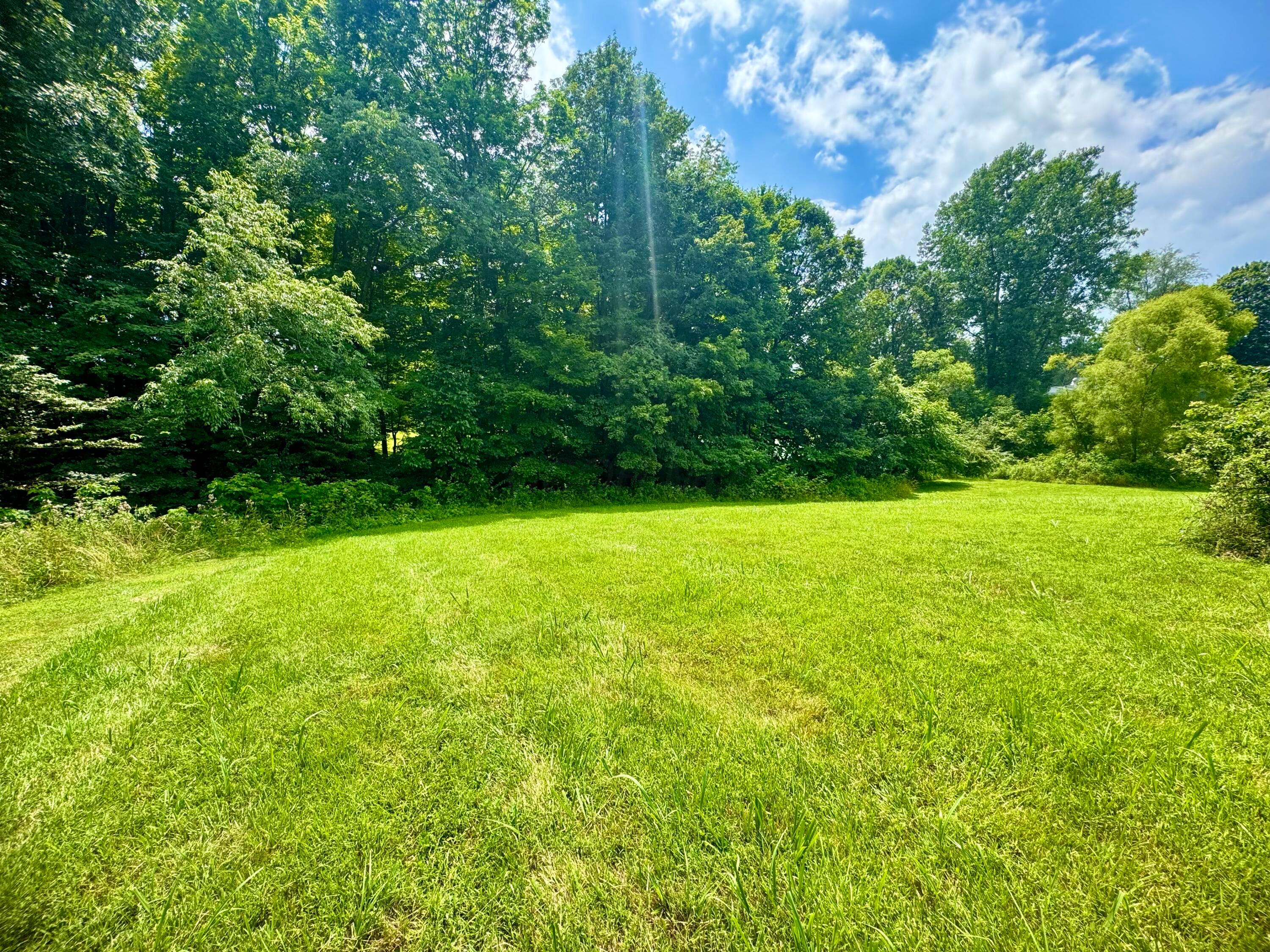 0 Old Mansfield Road Property Photo 6