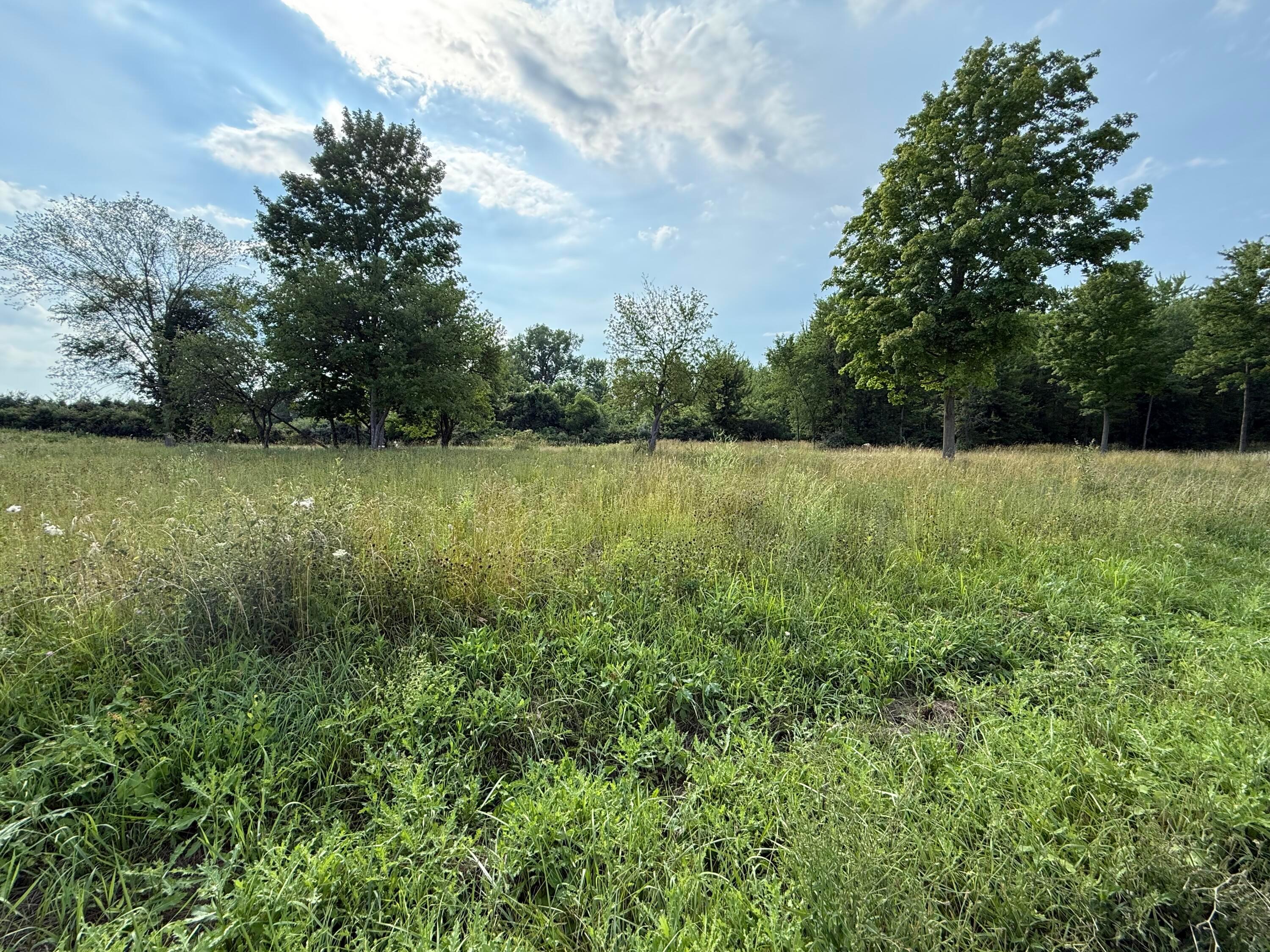 1490 Township Road 206 Property Photo 3