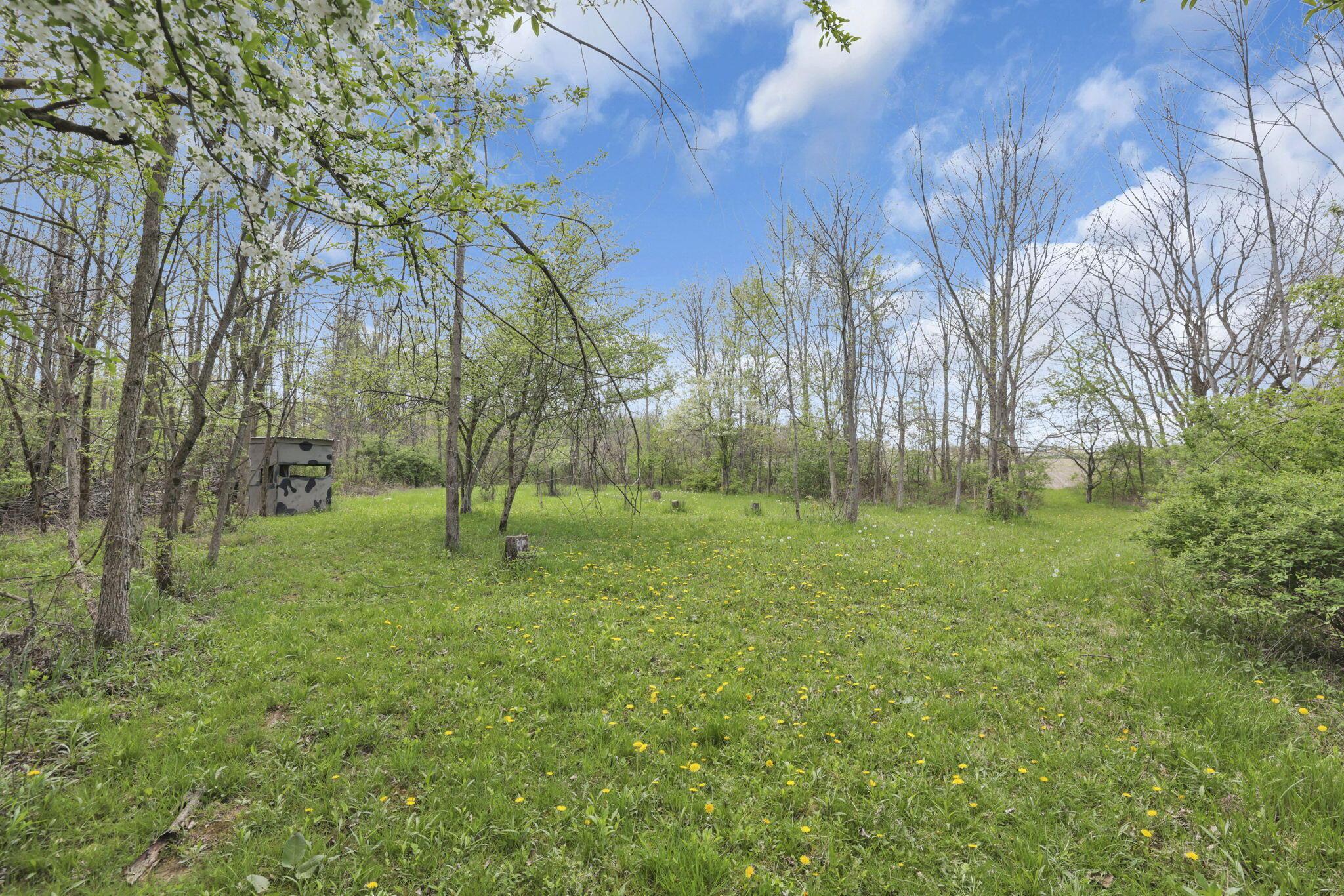 12345 Cherry Lane Property Photo 42