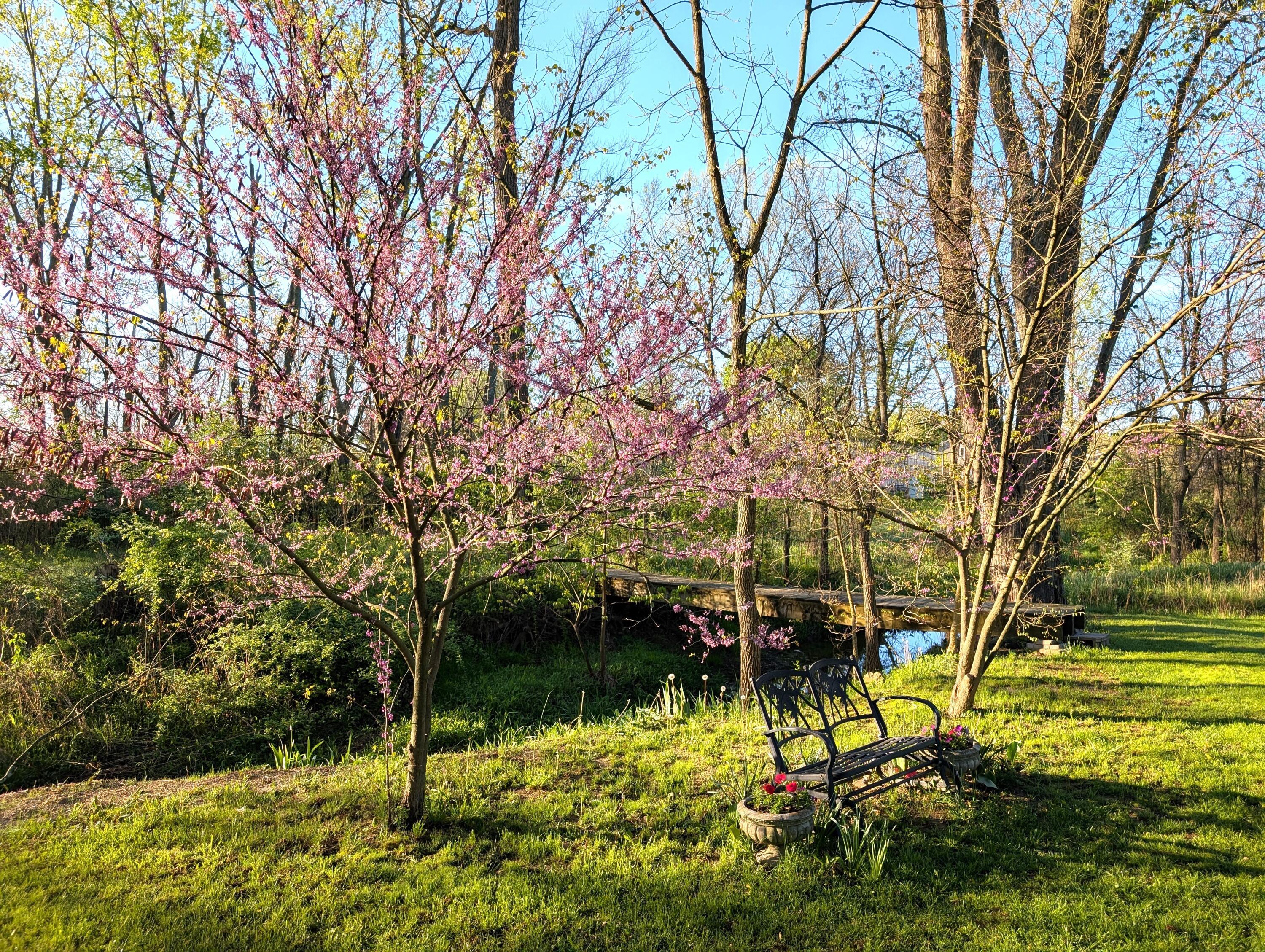 12345 Cherry Lane Property Photo 47