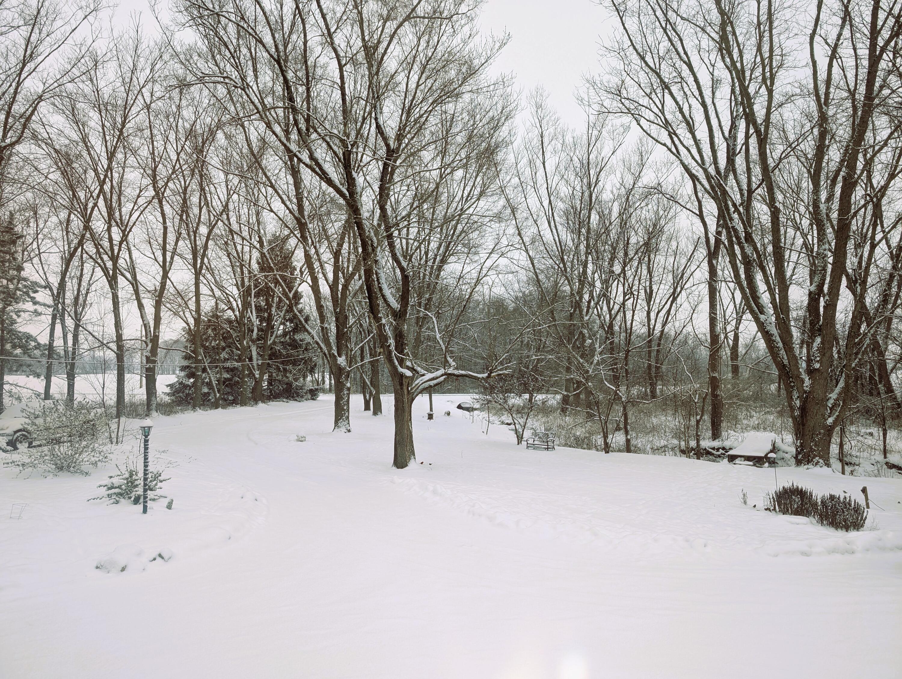 12345 Cherry Lane Property Photo 51