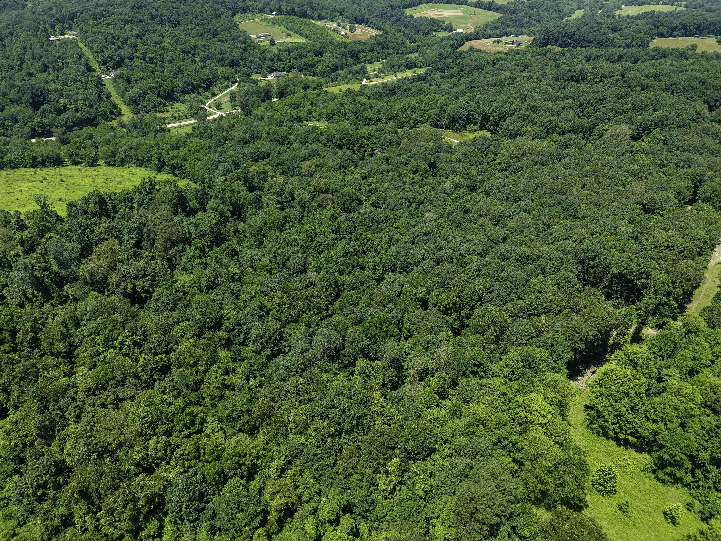 0 State Route 83 Property Photo 7
