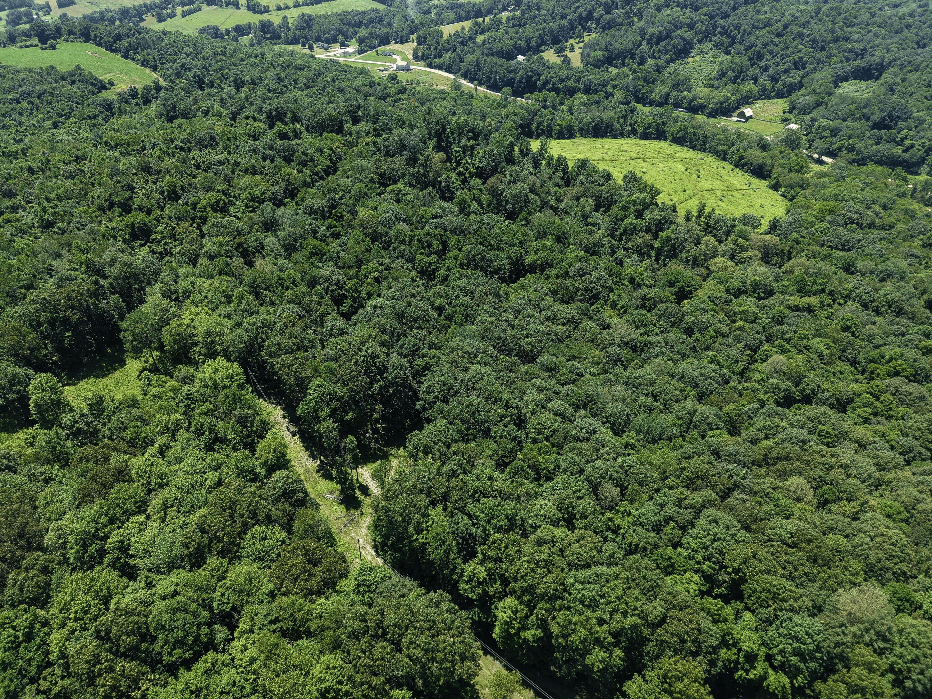 0 State Route 83 Property Photo 9