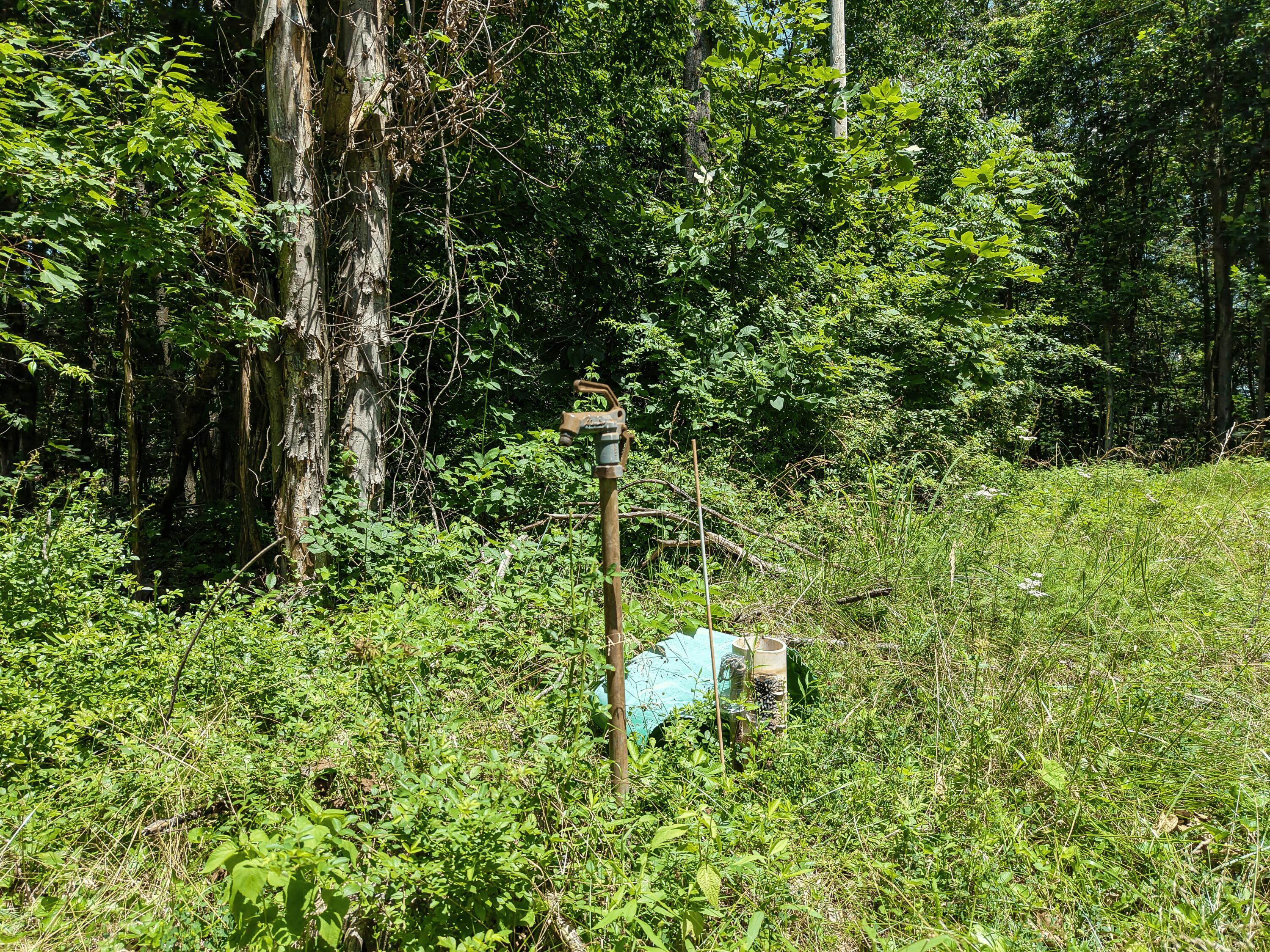 0 State Route 83 Property Photo 12