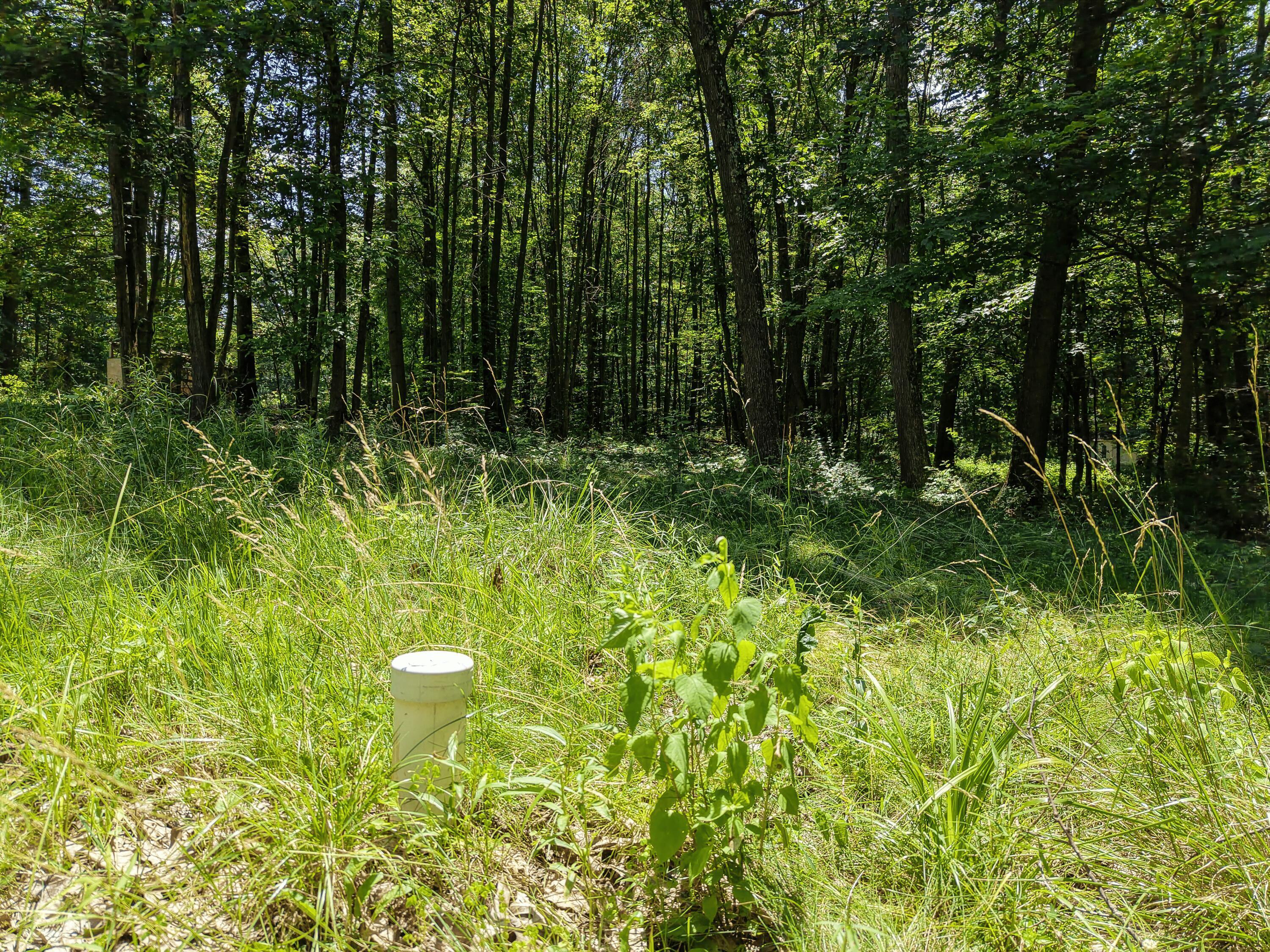 0 State Route 83 Property Photo 13