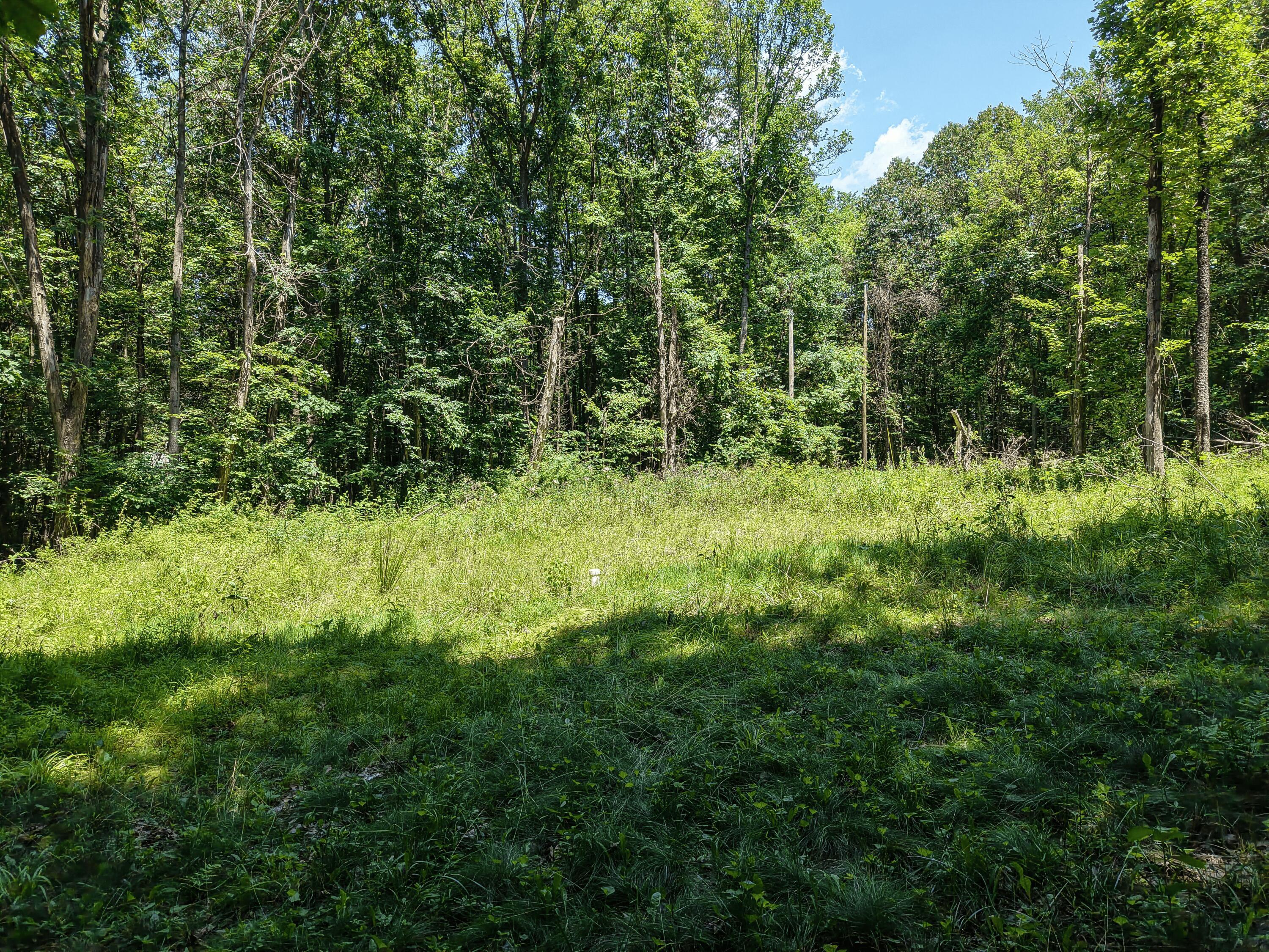 0 State Route 83 Property Photo 14