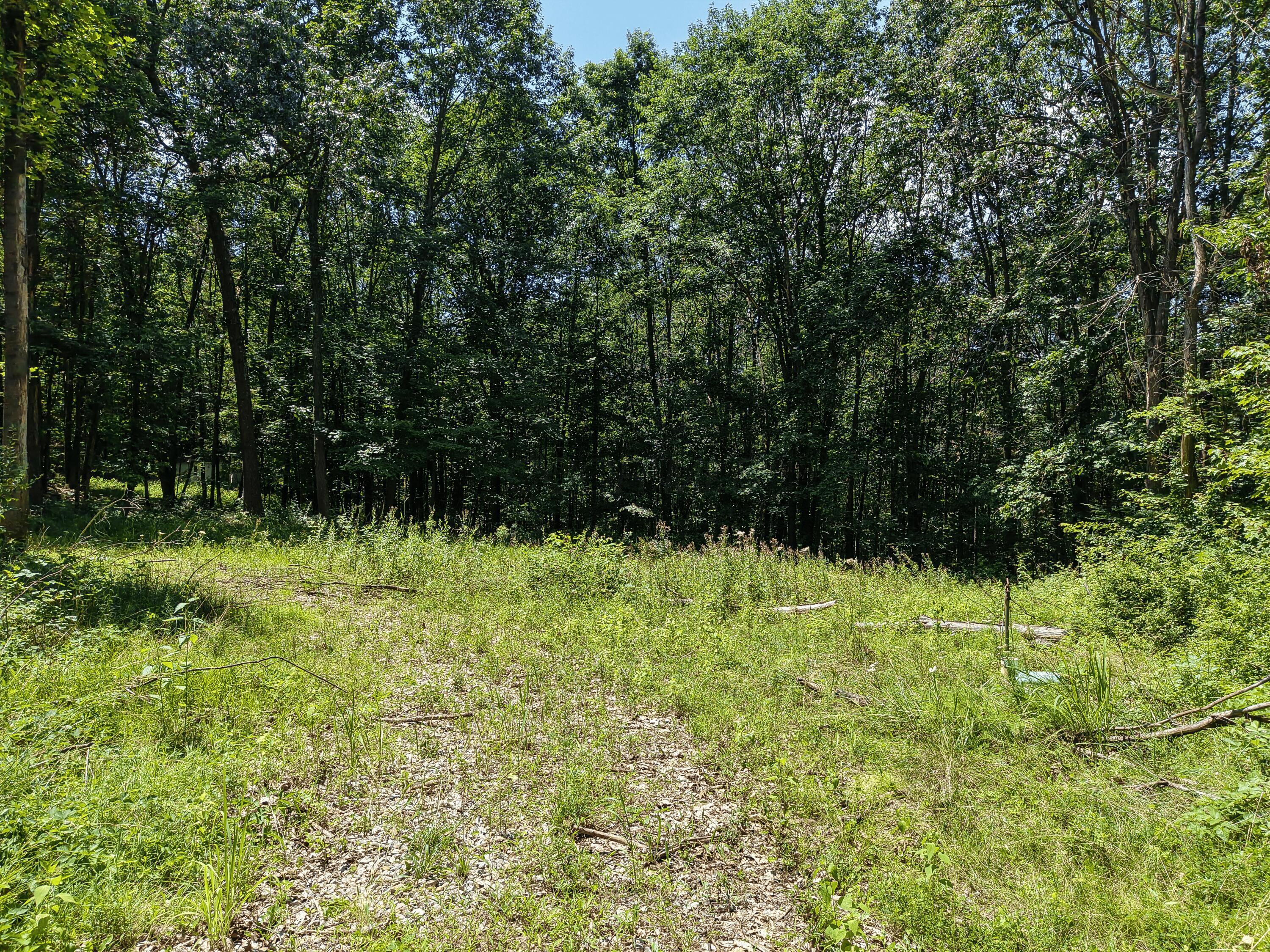 0 State Route 83 Property Photo 15
