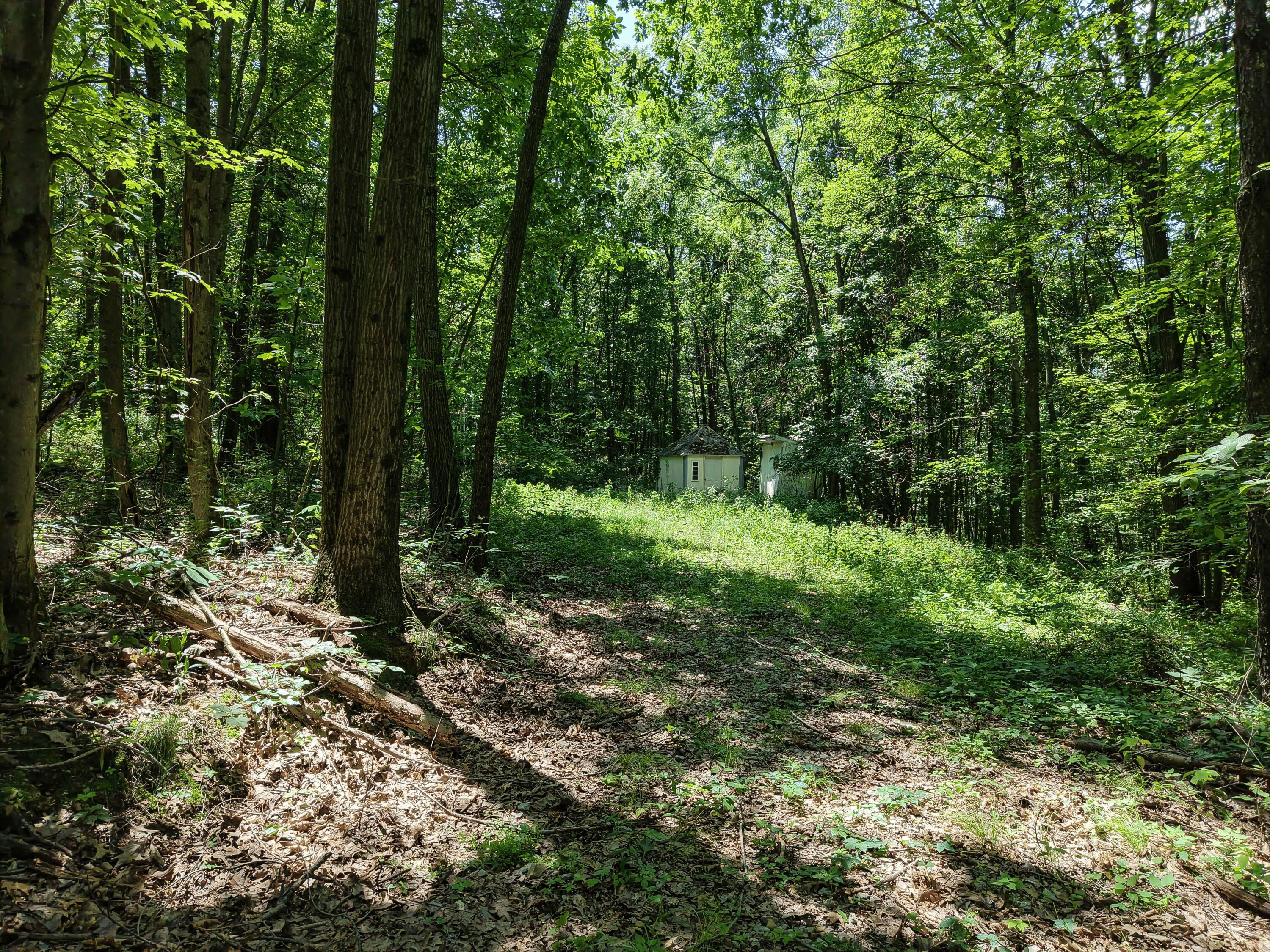 0 State Route 83 Property Photo 16