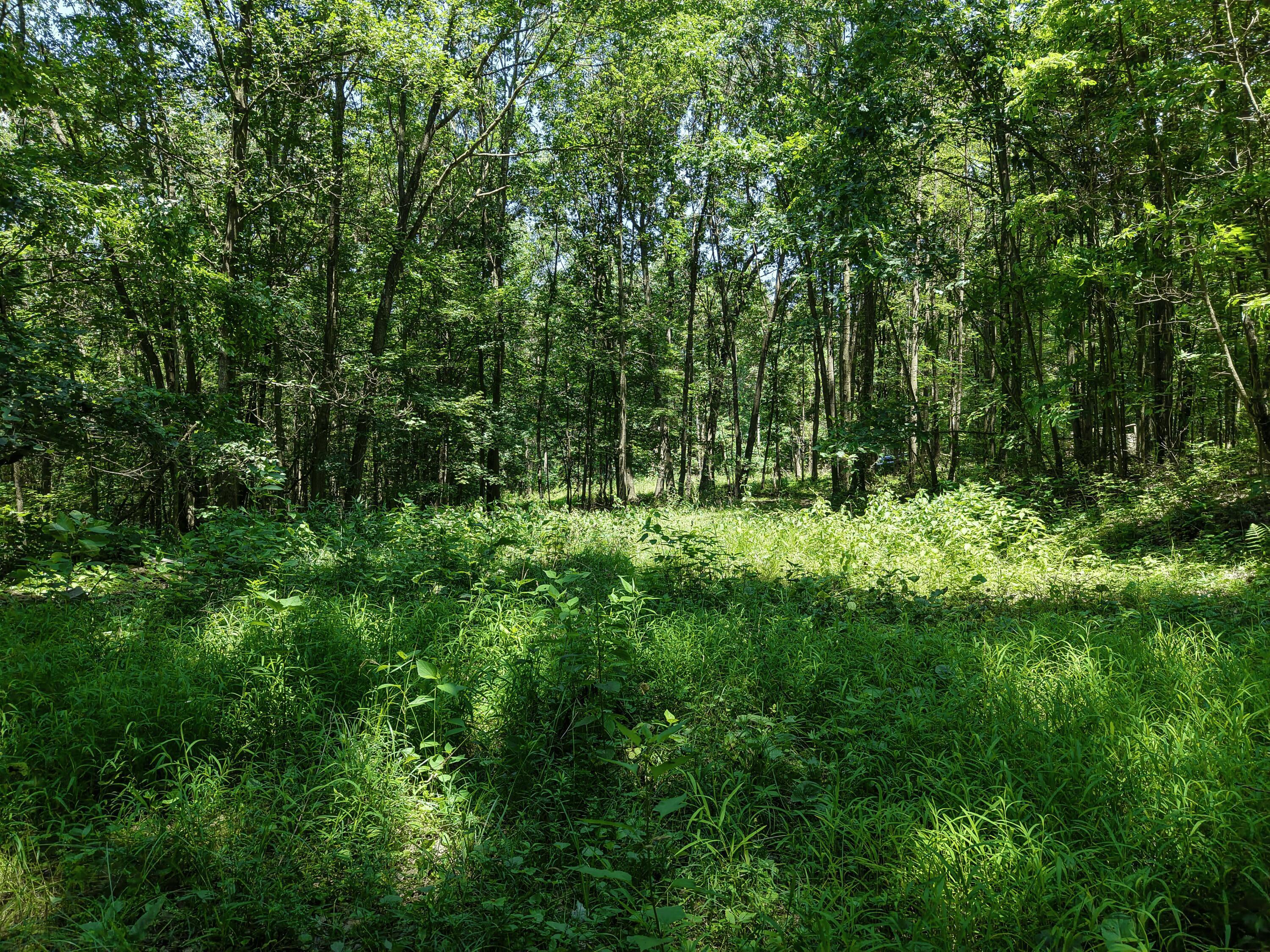 0 State Route 83 Property Photo 19