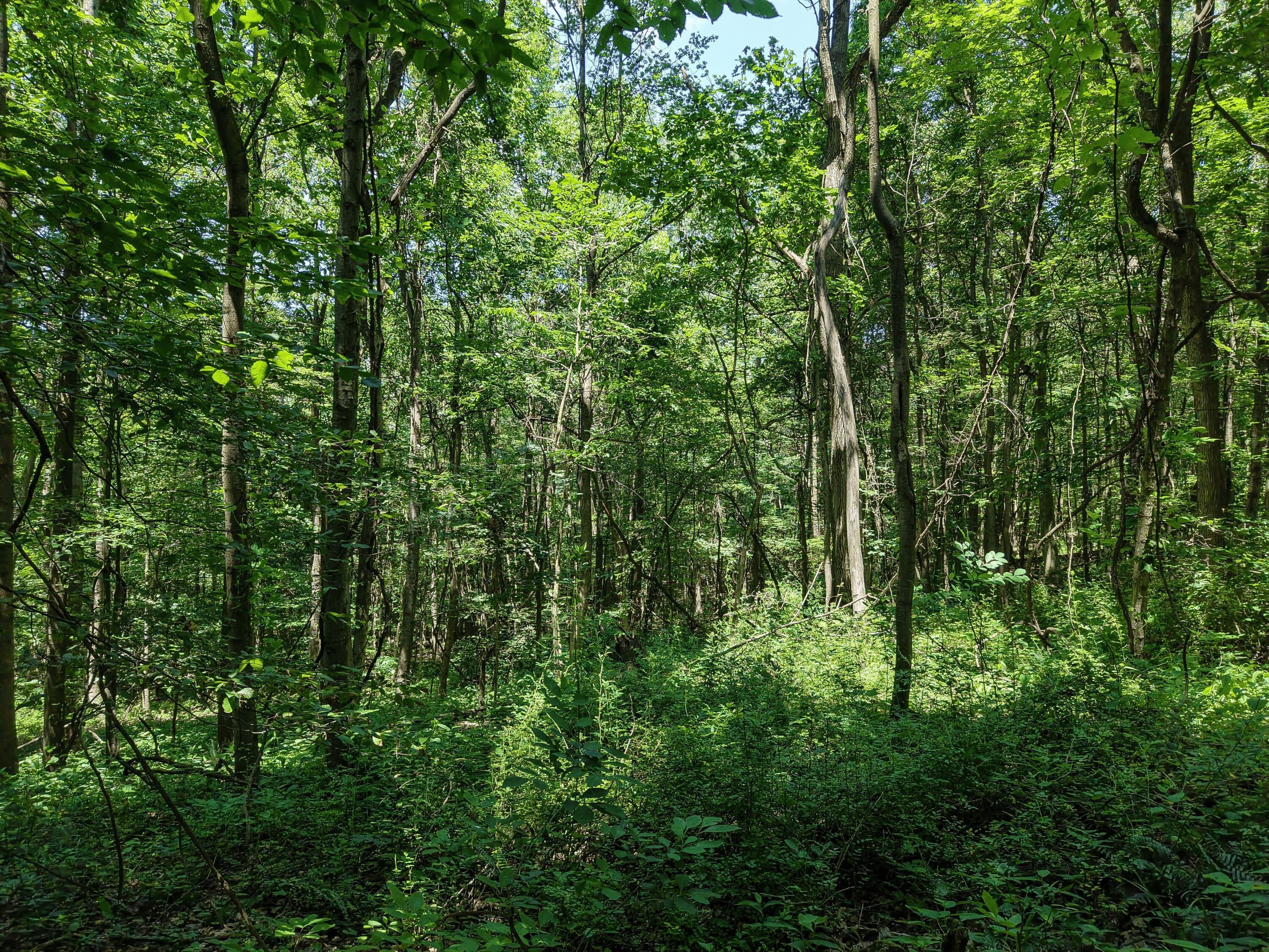 0 State Route 83 Property Photo 22