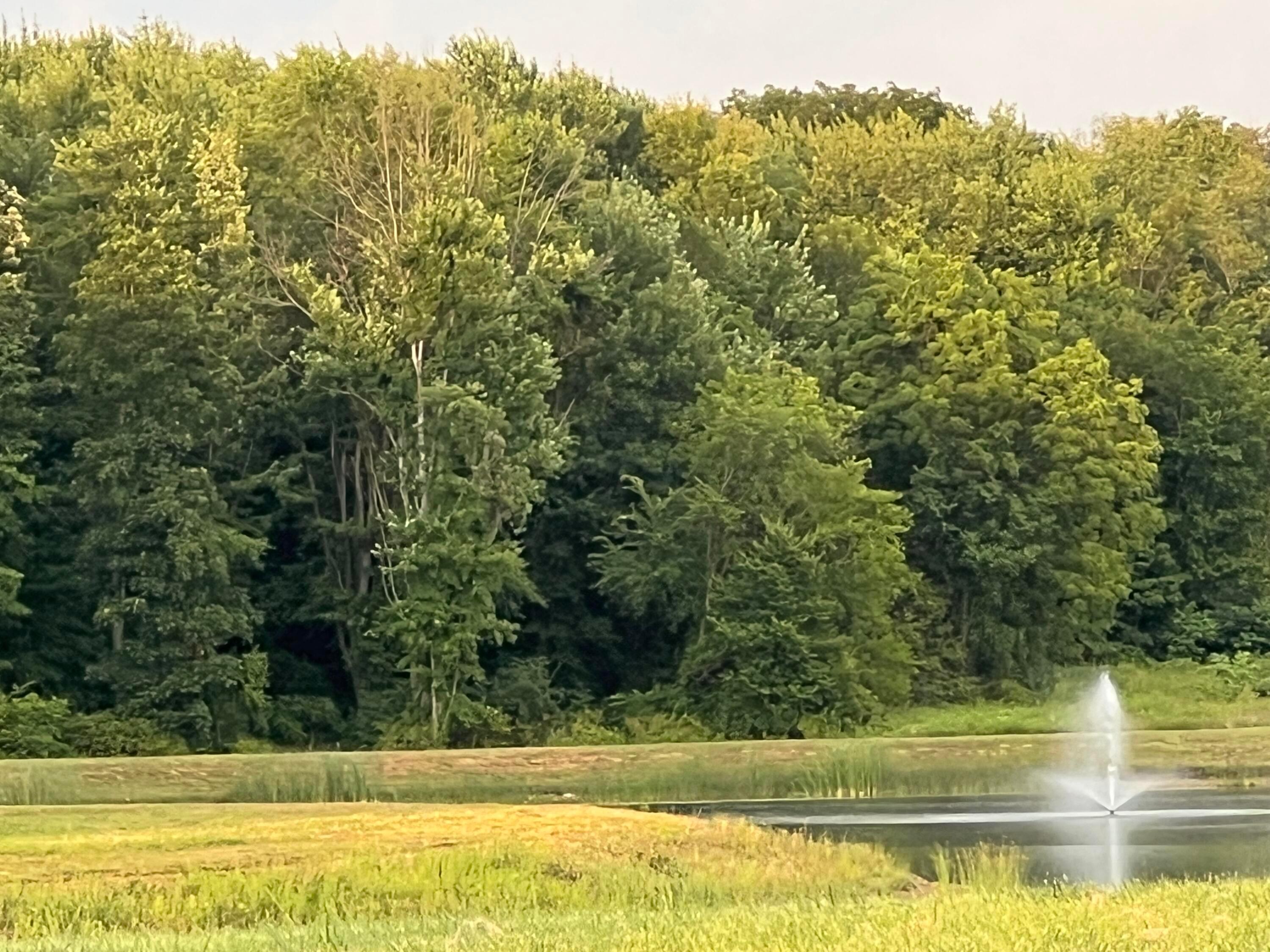 298 Mannaseh Drive W Property Photo 36