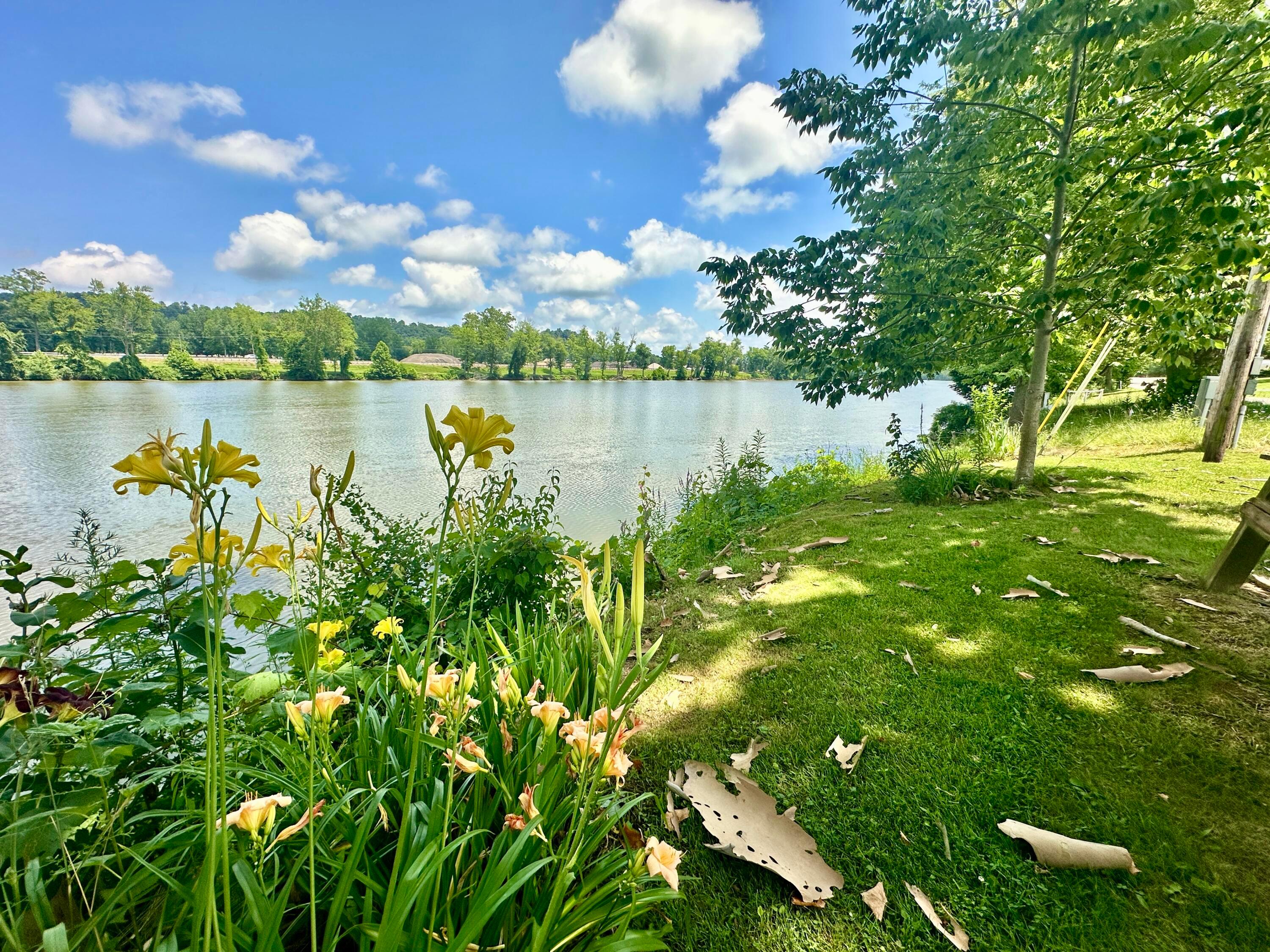 4145 Old River Road Property Photo 5