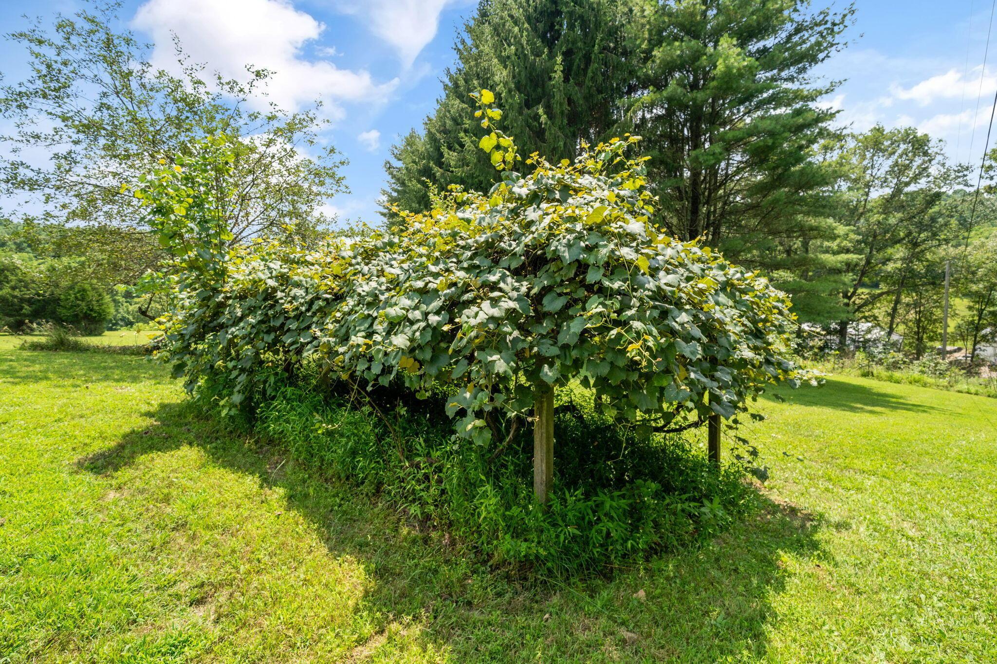 9168 Bremen Road Property Photo 62