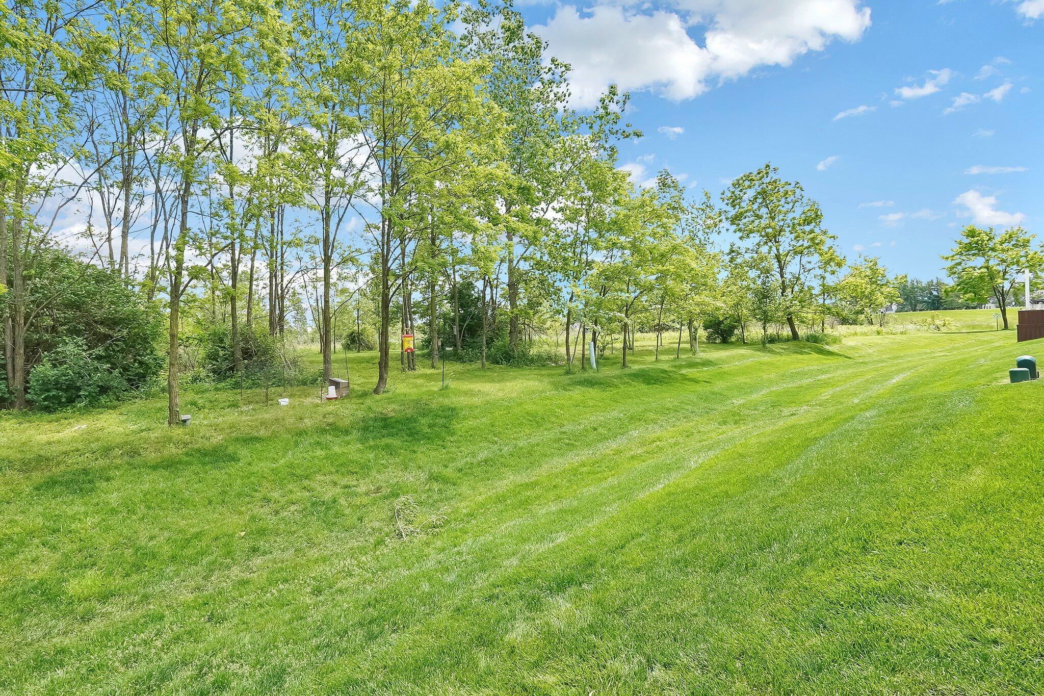 113 Buttonbush Place Property Photo 37