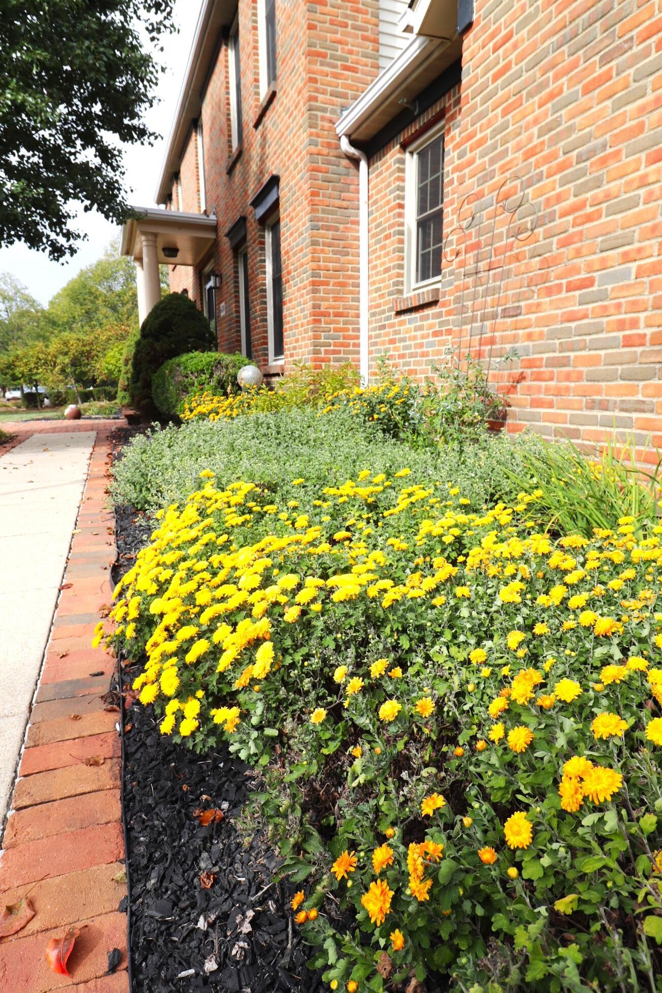 6430 Rossmore Lane Property Photo 72