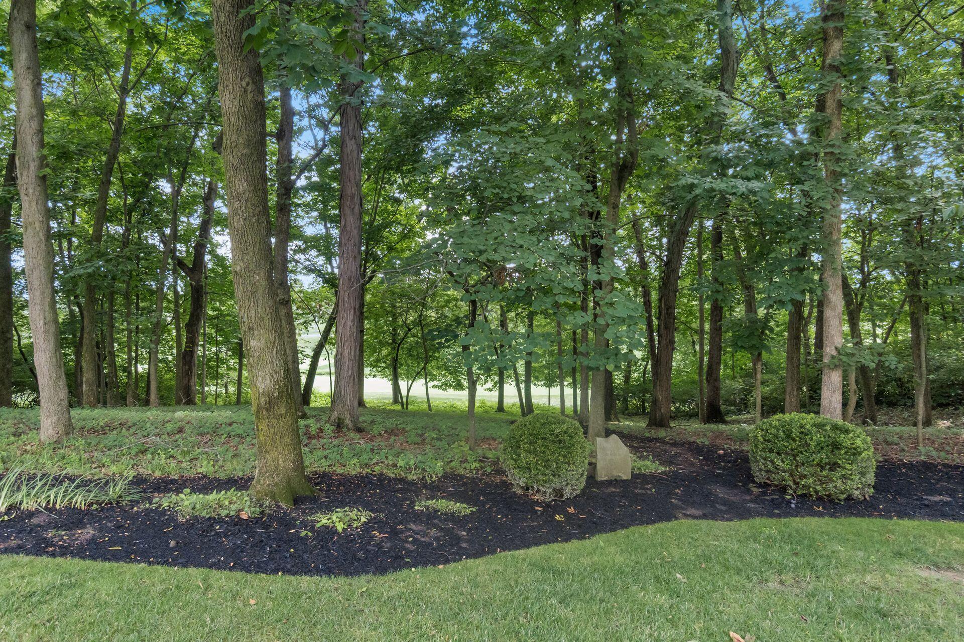8565 Dunsinane Drive Property Photo 68
