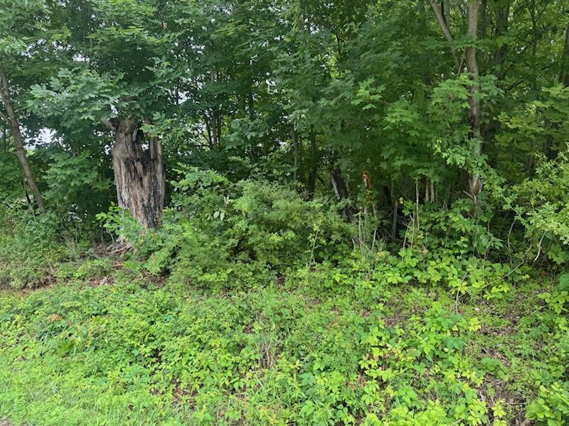 18905 Sycamore Road Property Photo 1