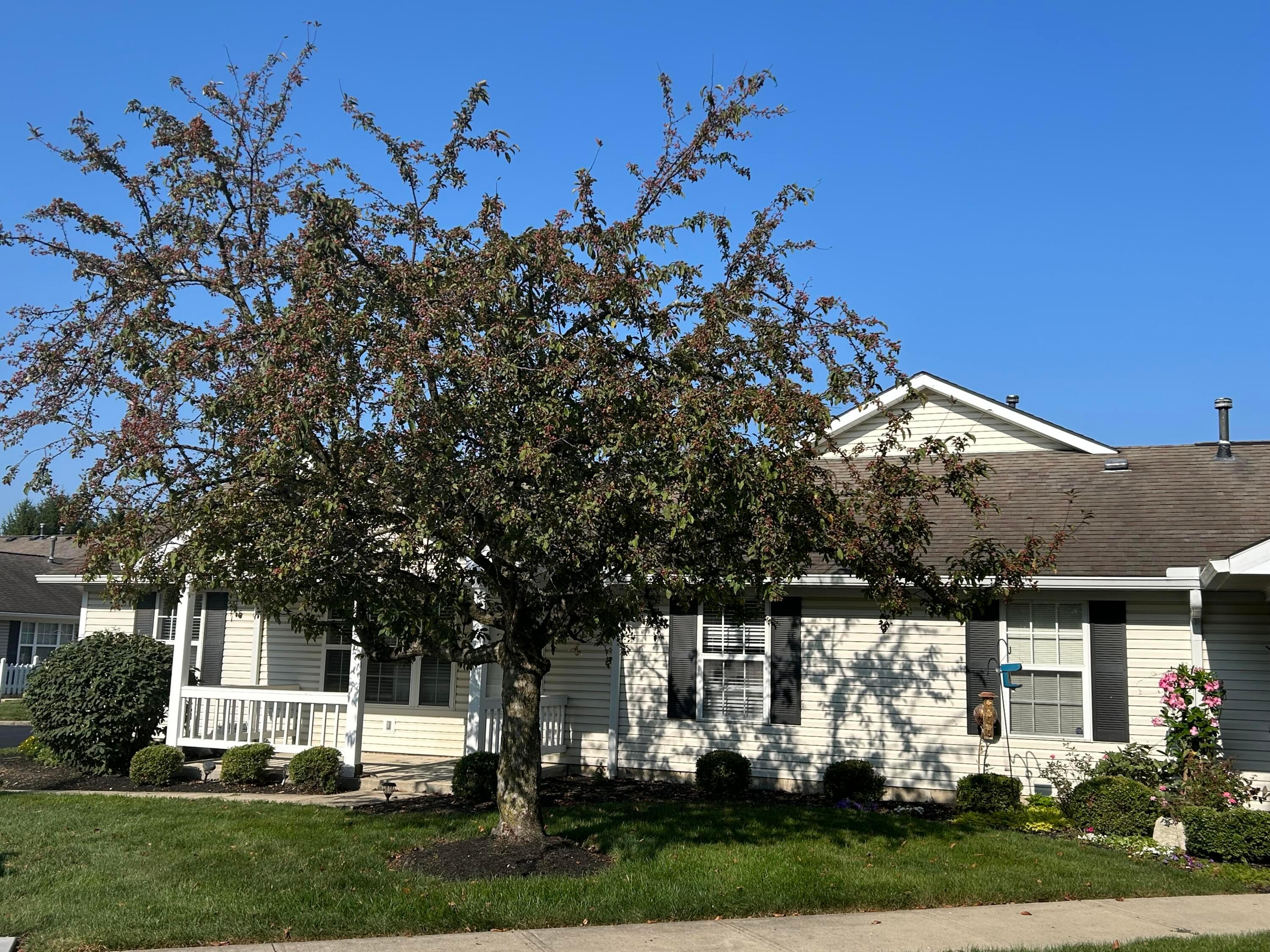 8596 Victoria Meadow Lane Property Photo 1