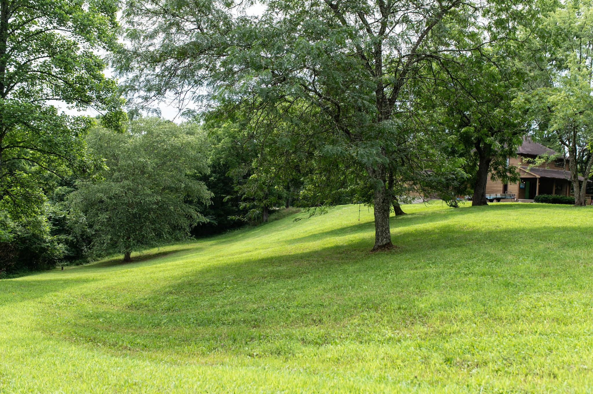 10271 Antle Orchard Road Property Photo 8