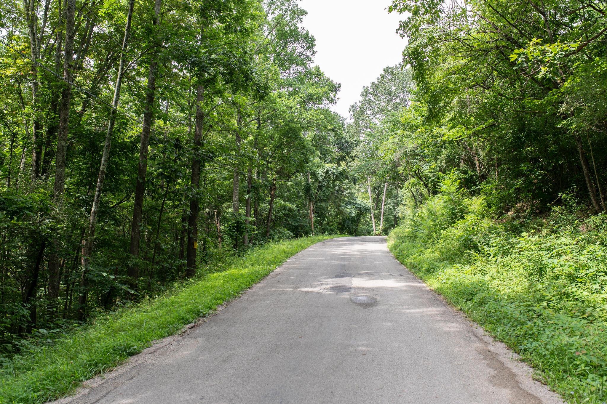 10271 Antle Orchard Road Property Photo 9