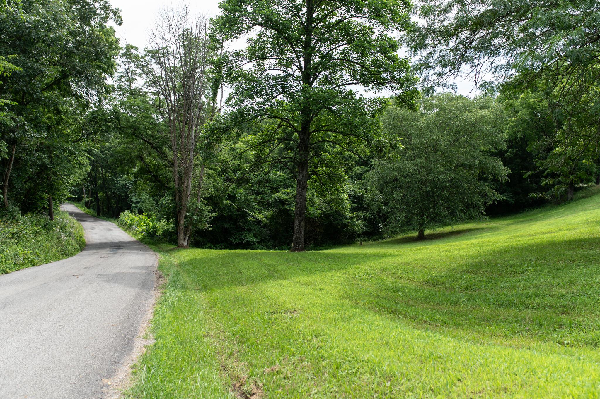 10271 Antle Orchard Road Property Photo 10