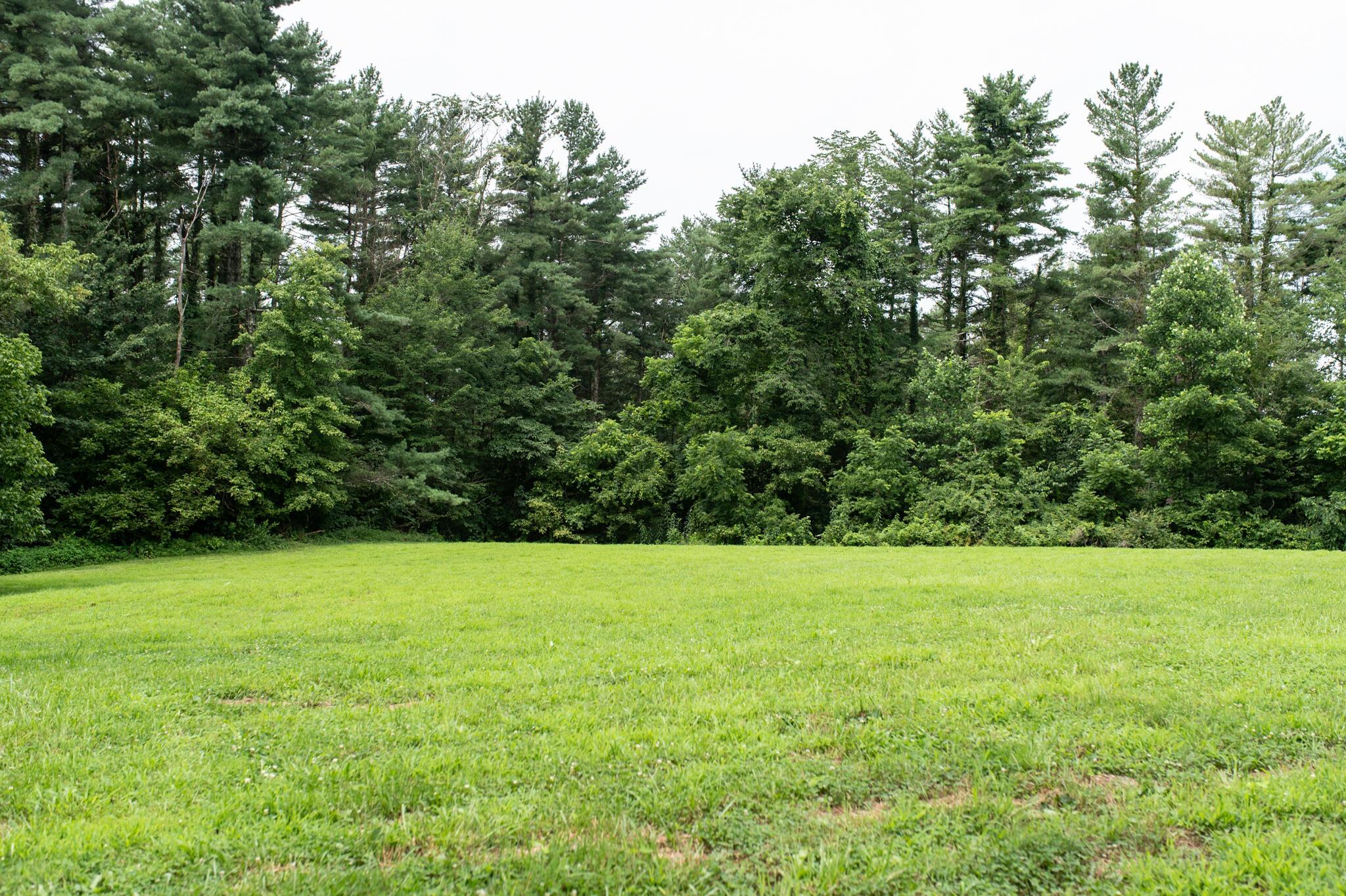 10271 Antle Orchard Road Property Photo 12