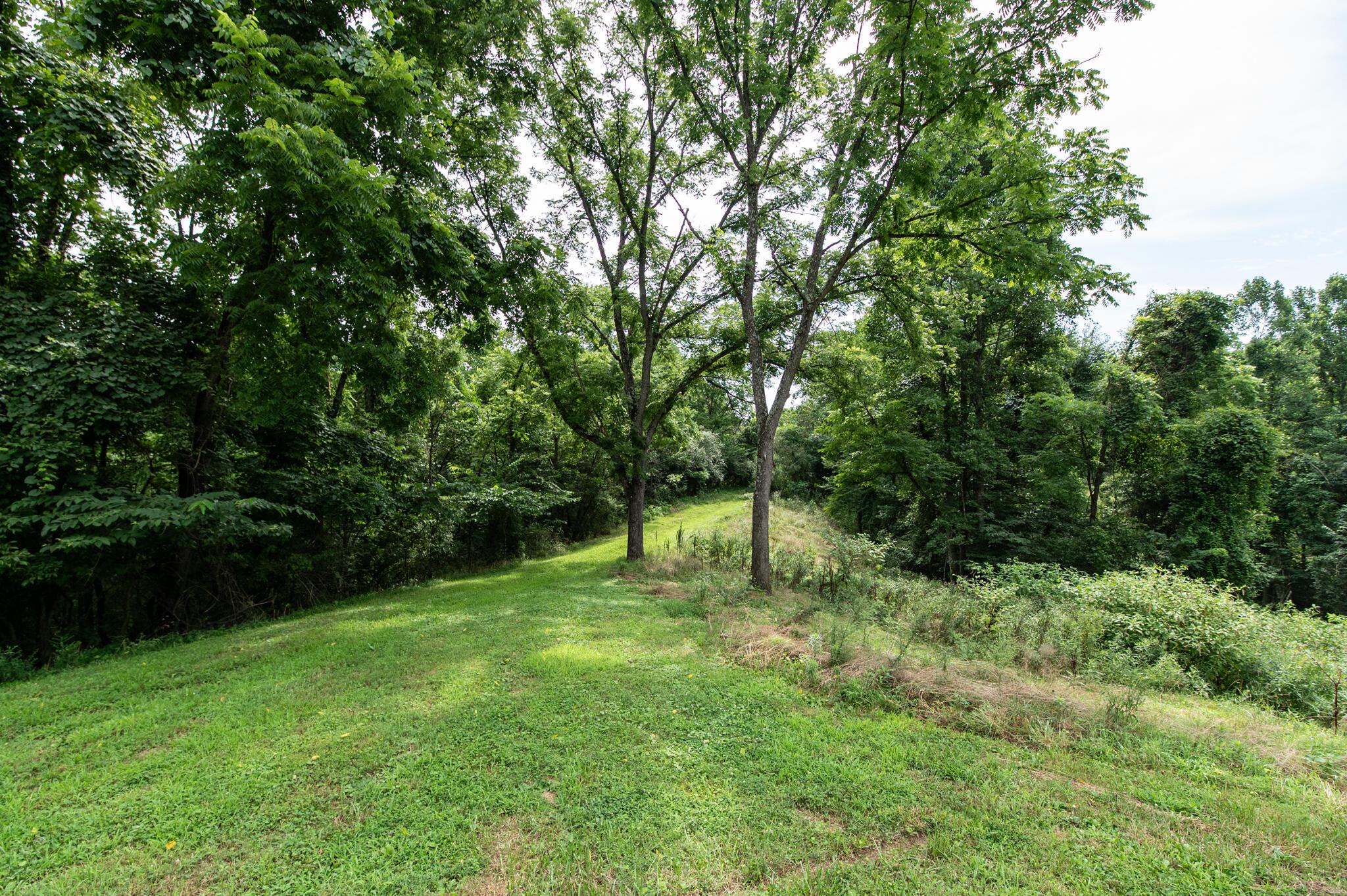 10271 Antle Orchard Road Property Photo 18
