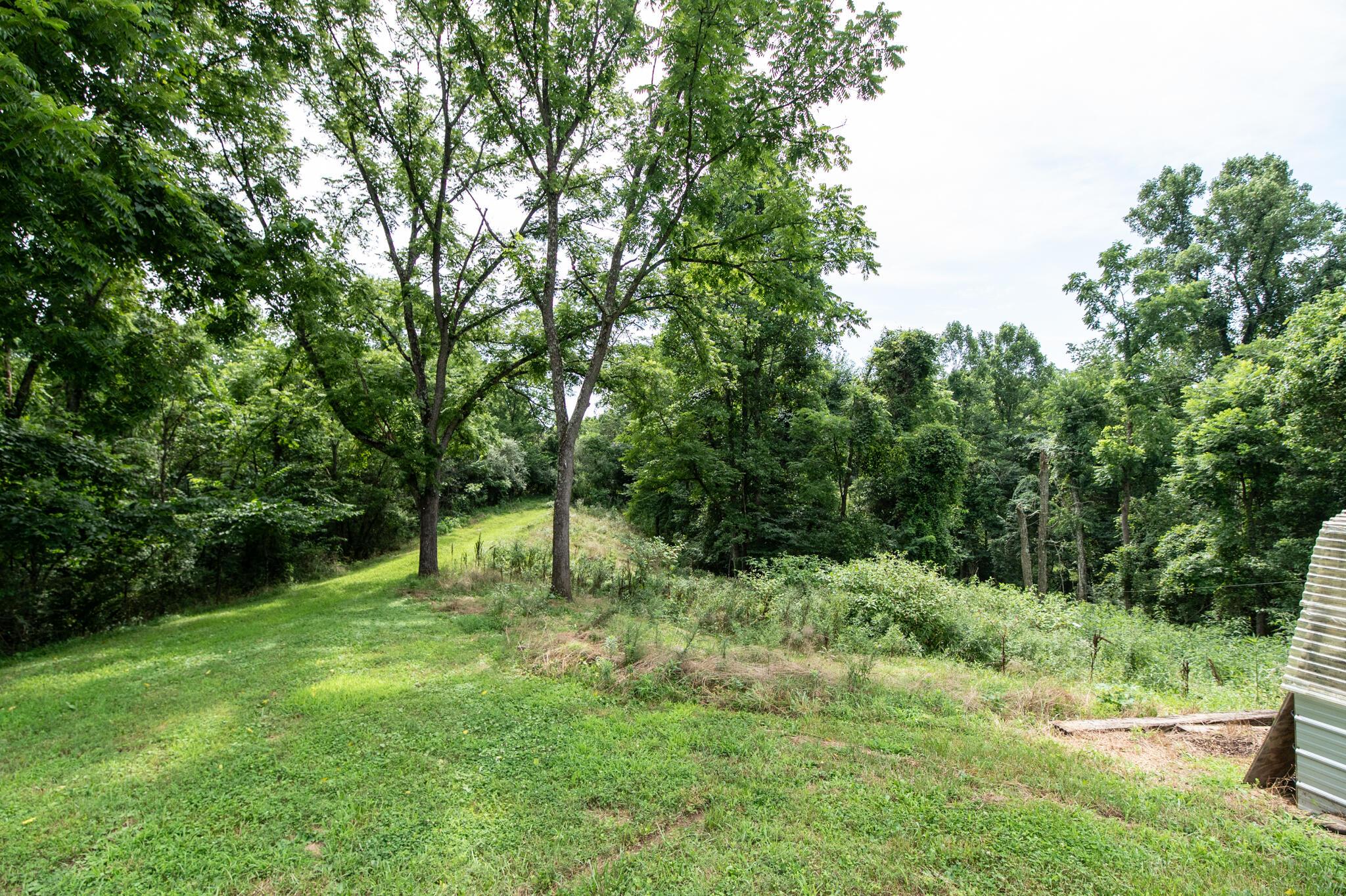 10271 Antle Orchard Road Property Photo 19