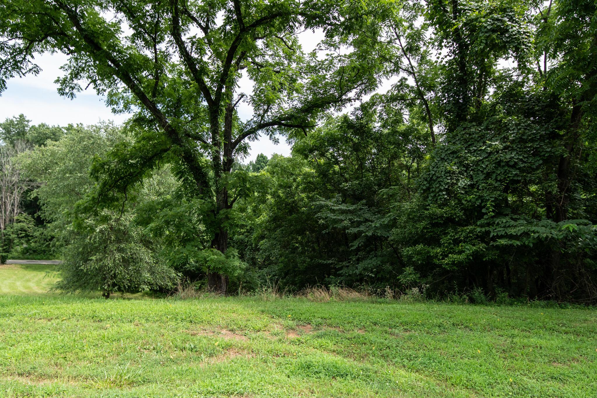 10271 Antle Orchard Road Property Photo 20