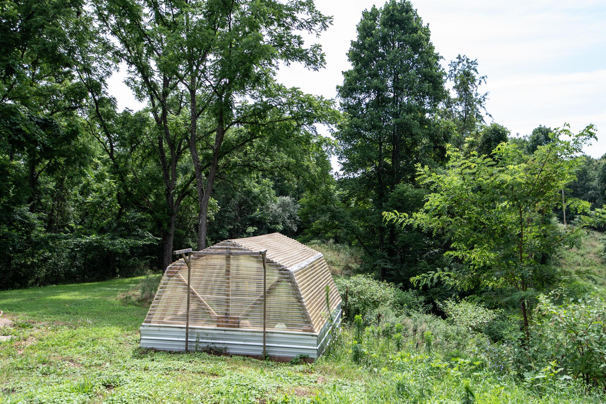 10271 Antle Orchard Road Property Photo 23