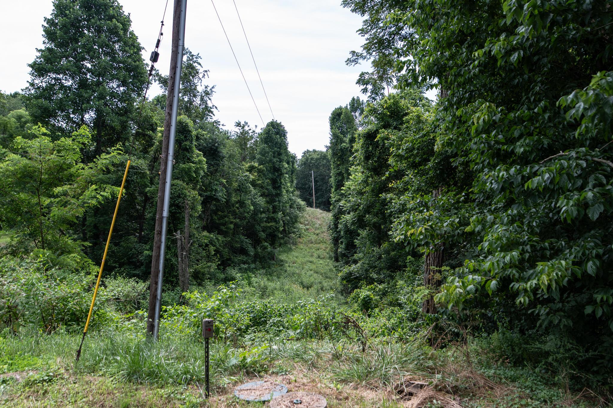 10271 Antle Orchard Road Property Photo 25