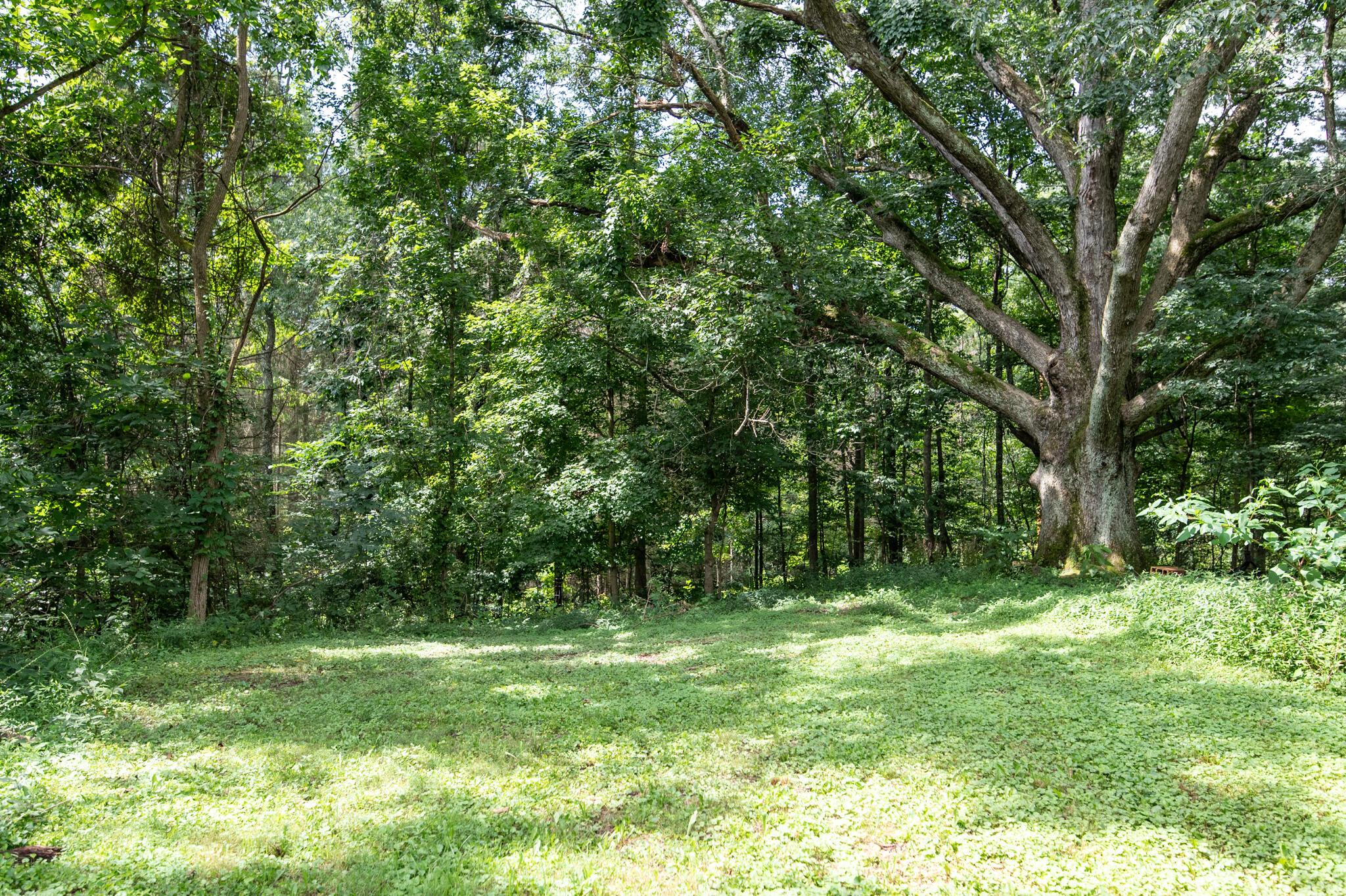 10271 Antle Orchard Road Property Photo 27