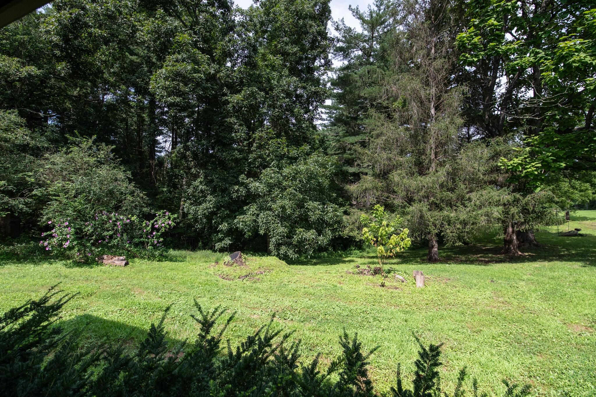 10271 Antle Orchard Road Property Photo 34