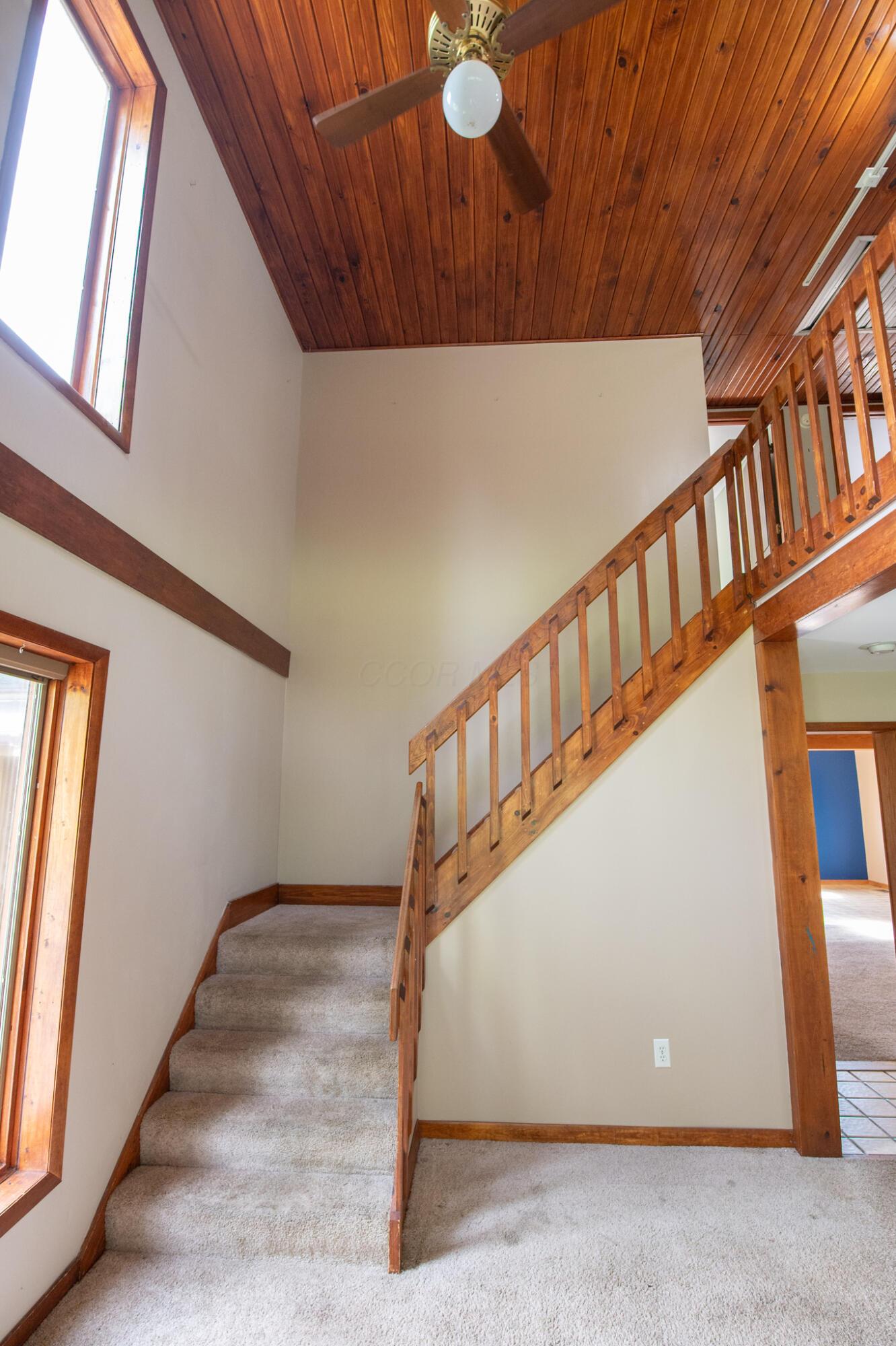 10271 Antle Orchard Road Property Photo 51